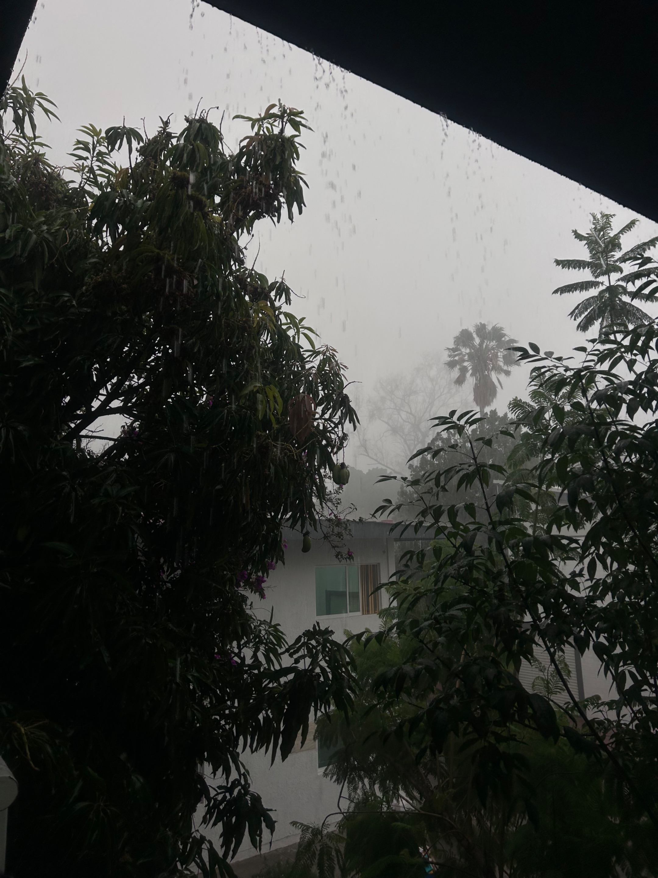 IMG_1455.jpeg