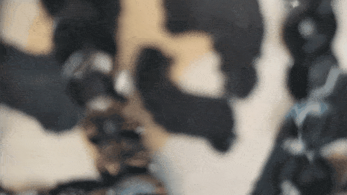 20220714_105755.gif