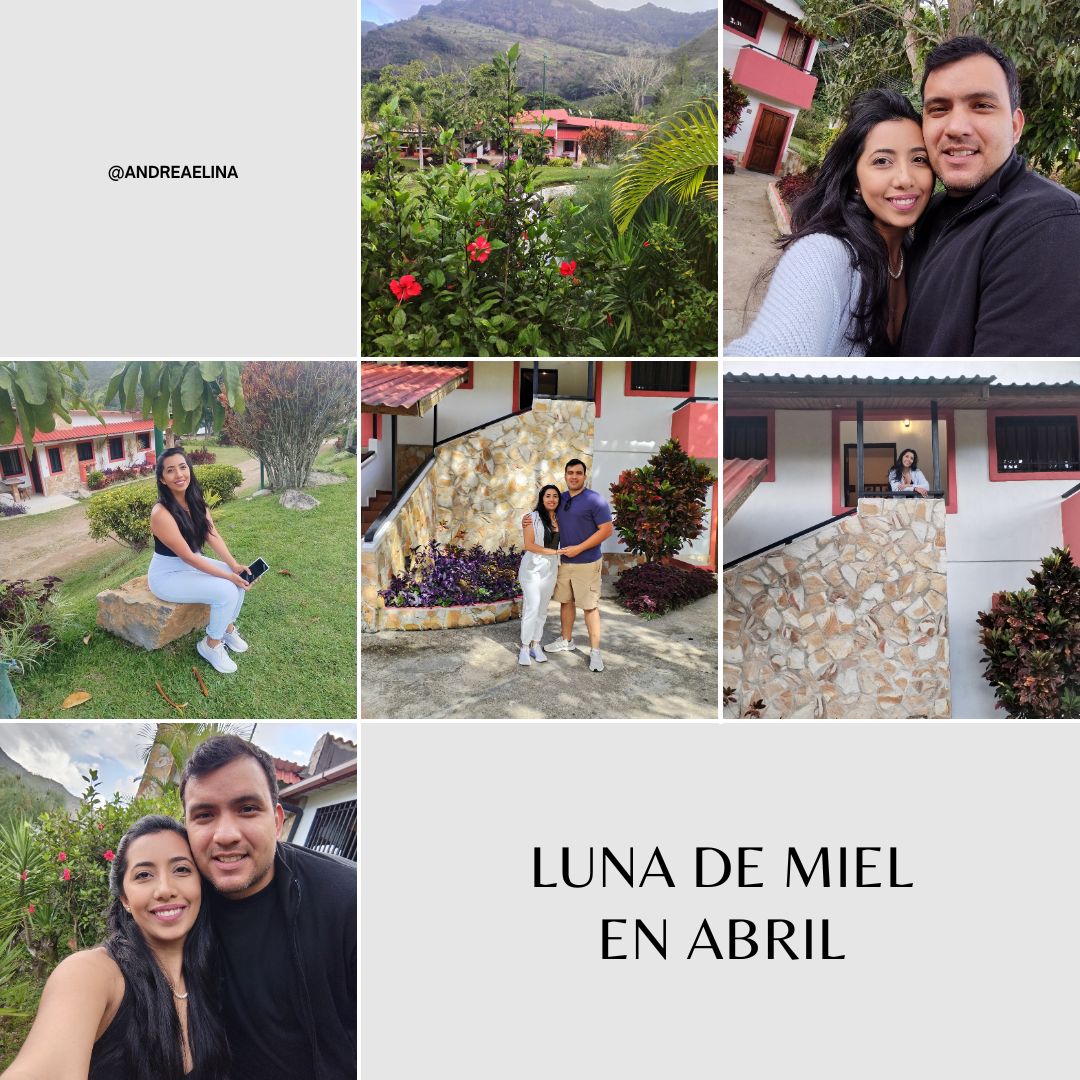 Grey White Minimalist Picnic Collage Instagram Post.jpg