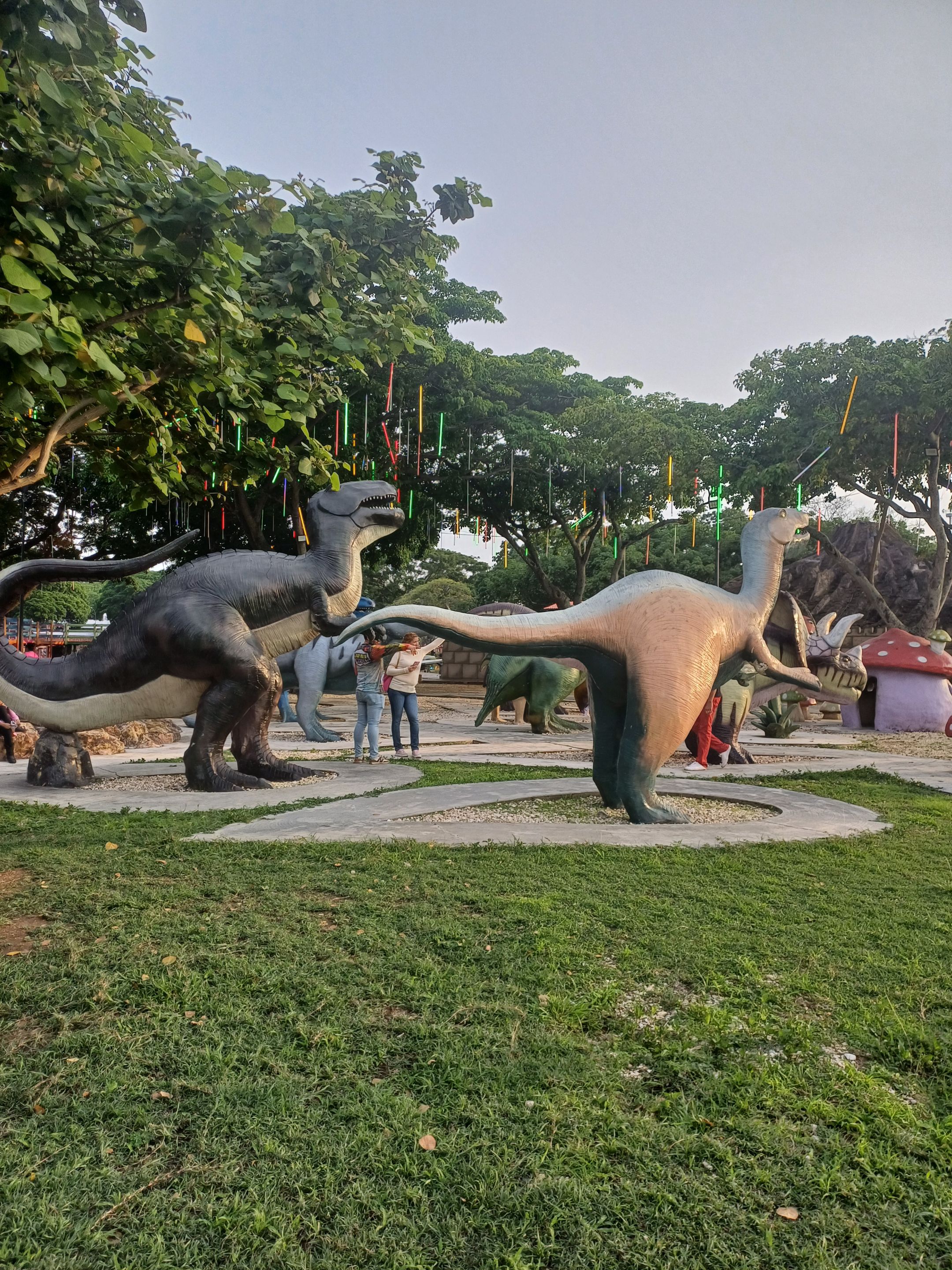 20250503_175427.jpg