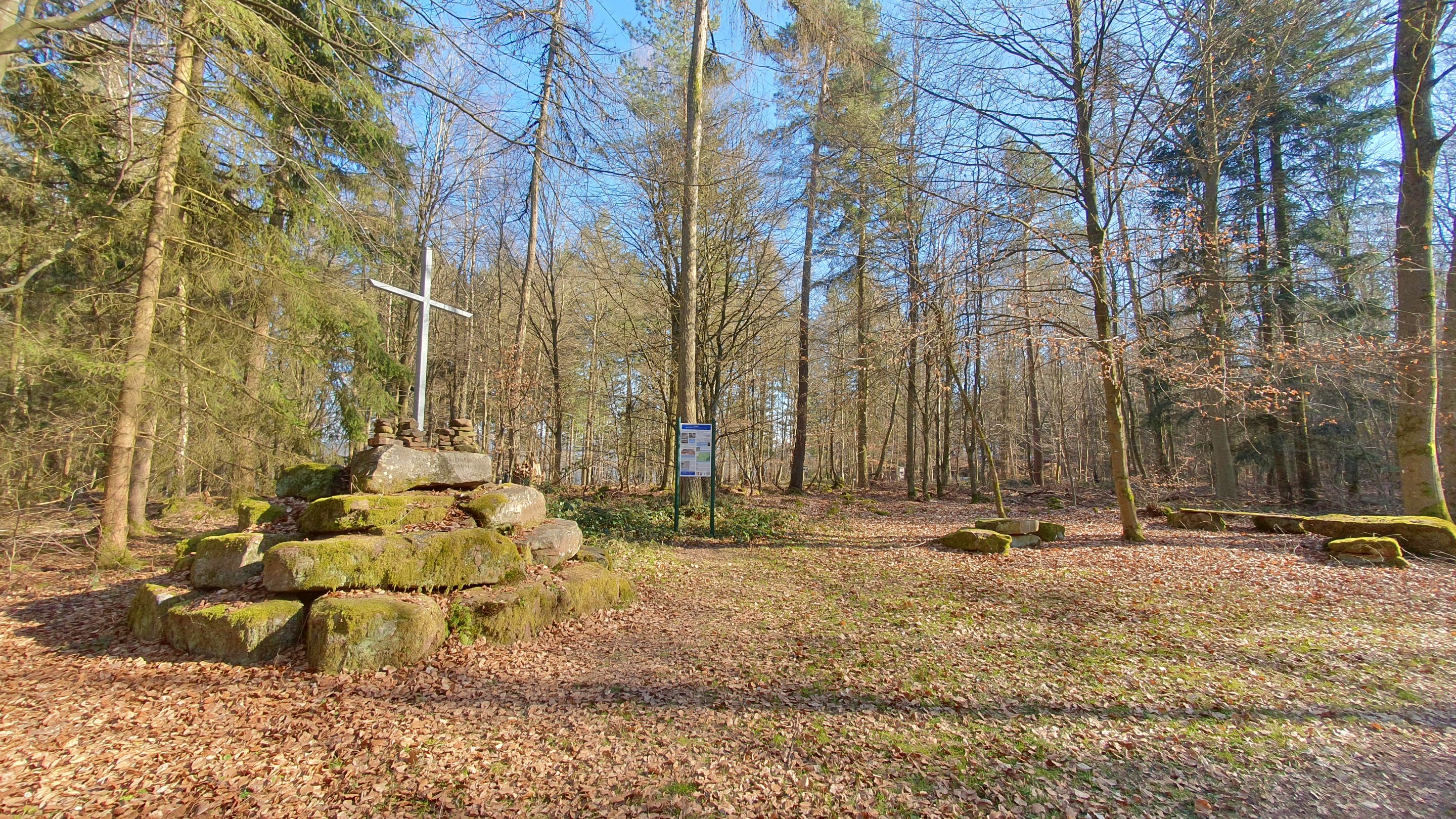 20250319_152953.jpg
