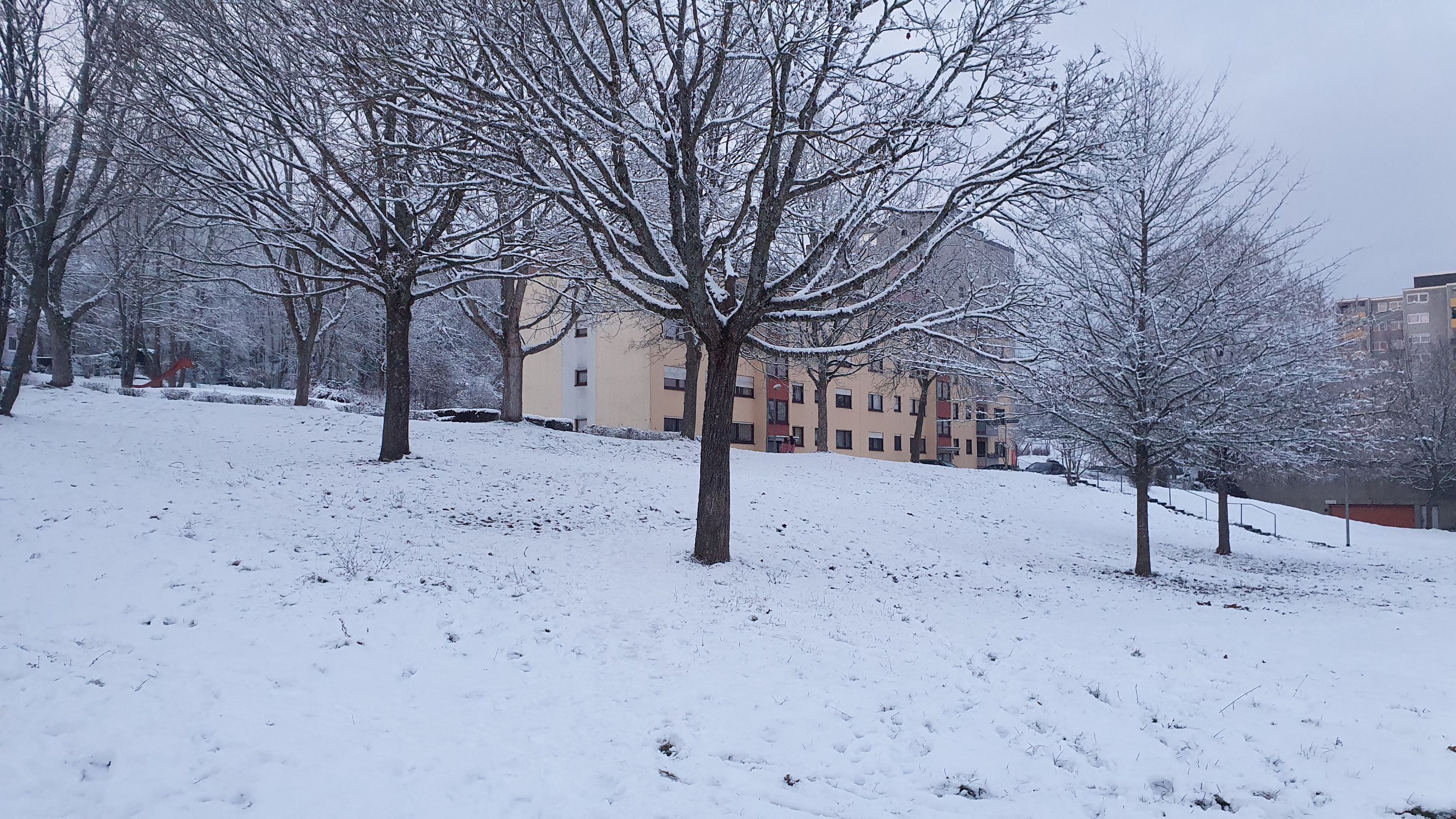 20240121_165936.jpg