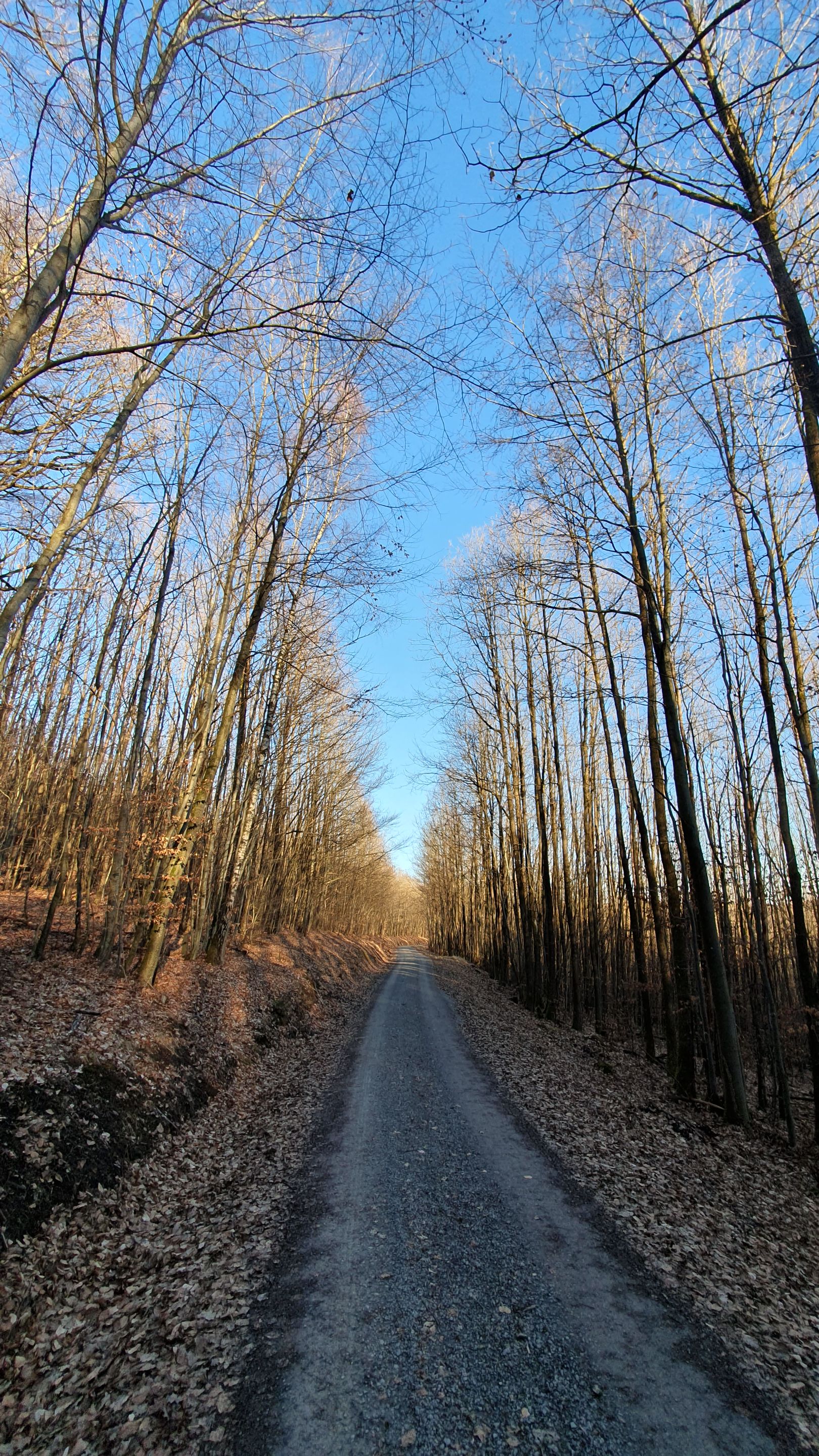 20250302_165150.jpg