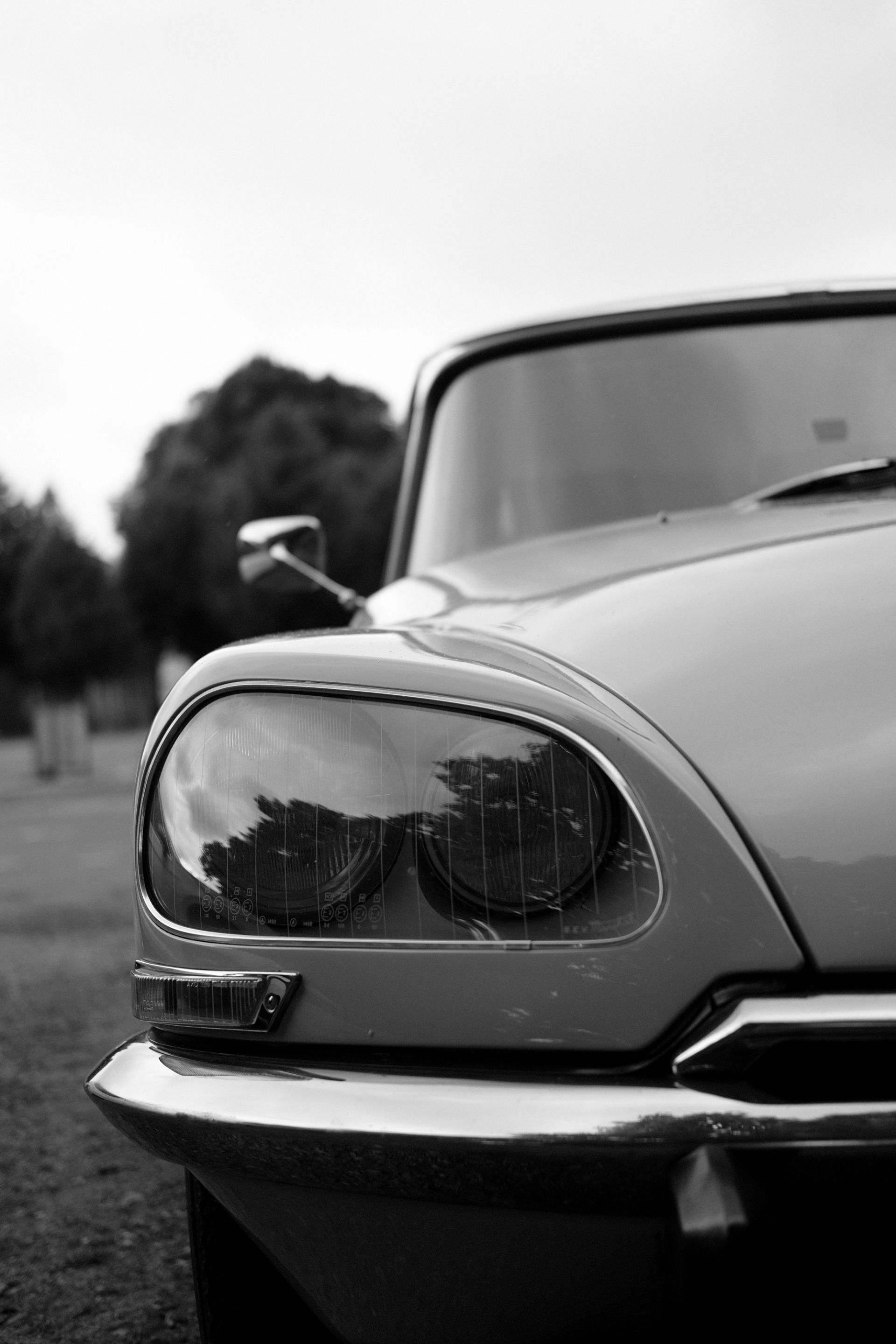 DSCF4204-pxp1-car-citroen.jpg