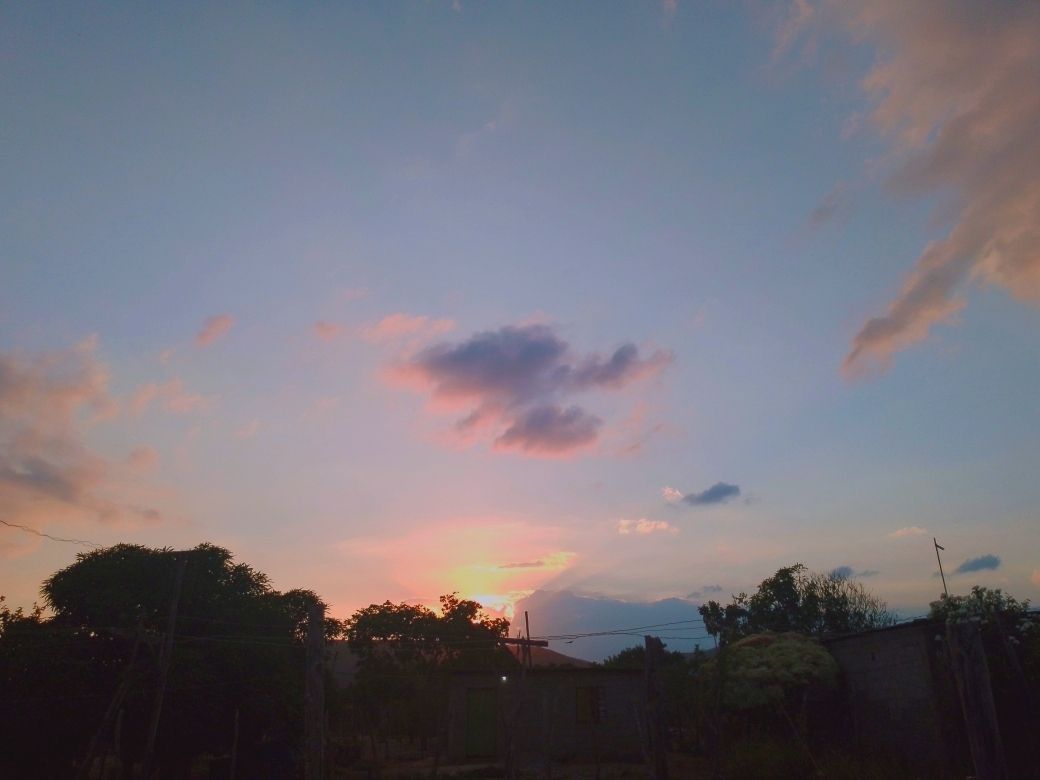 Polish_20250710_233422292.jpg
