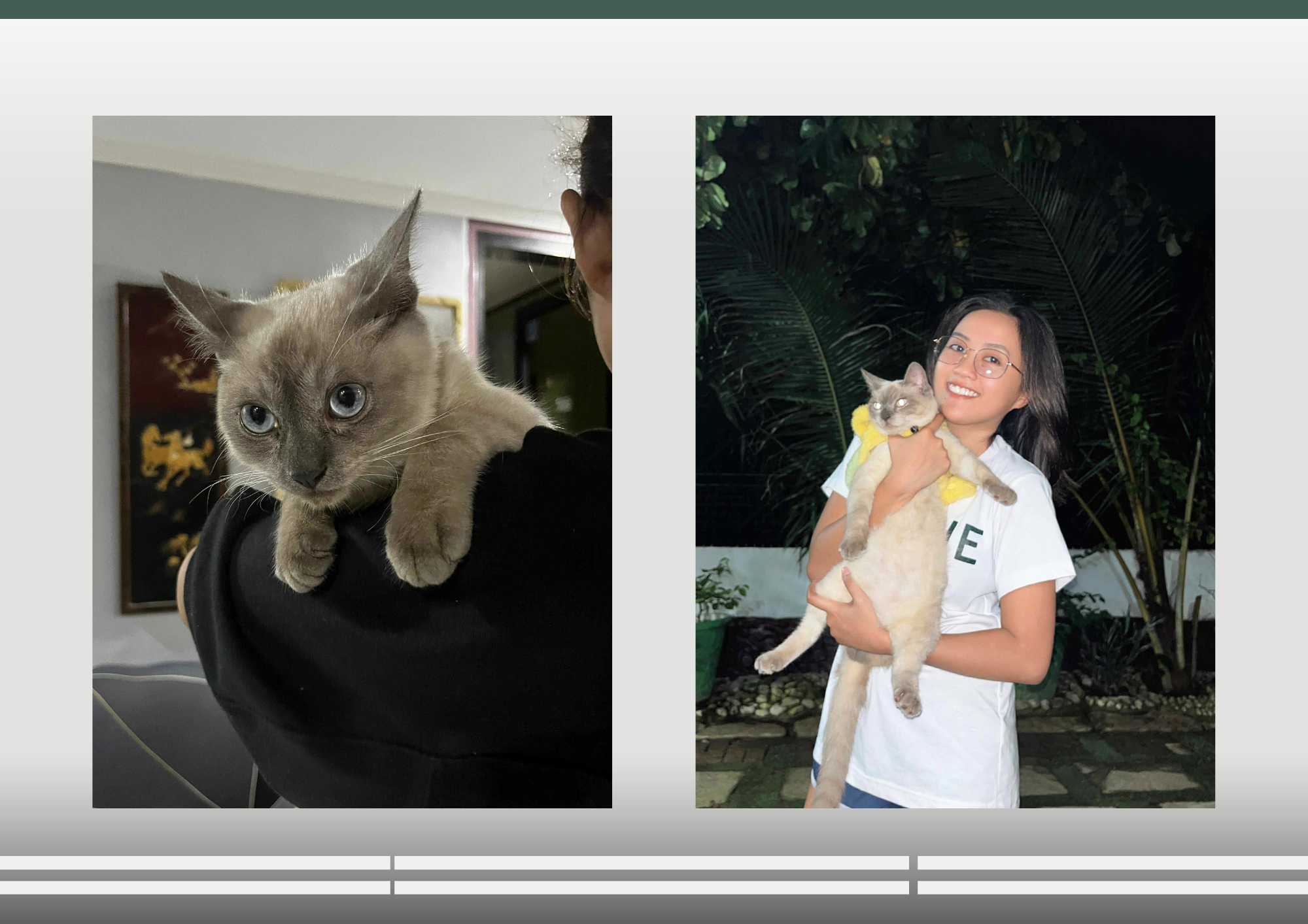 Dark Green Greyscale Photo Collage Interior Mood Board (6).png