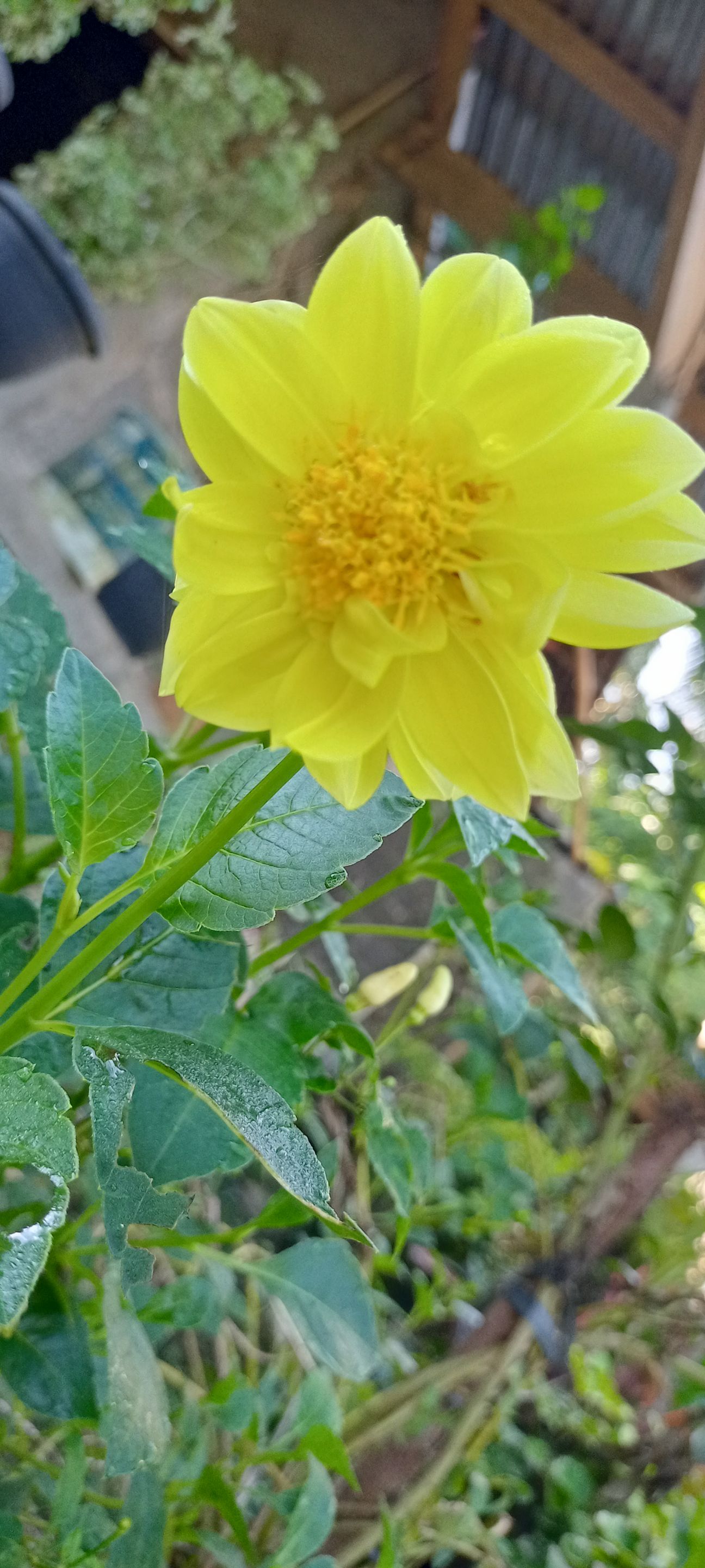 IMG20221031072413.jpg