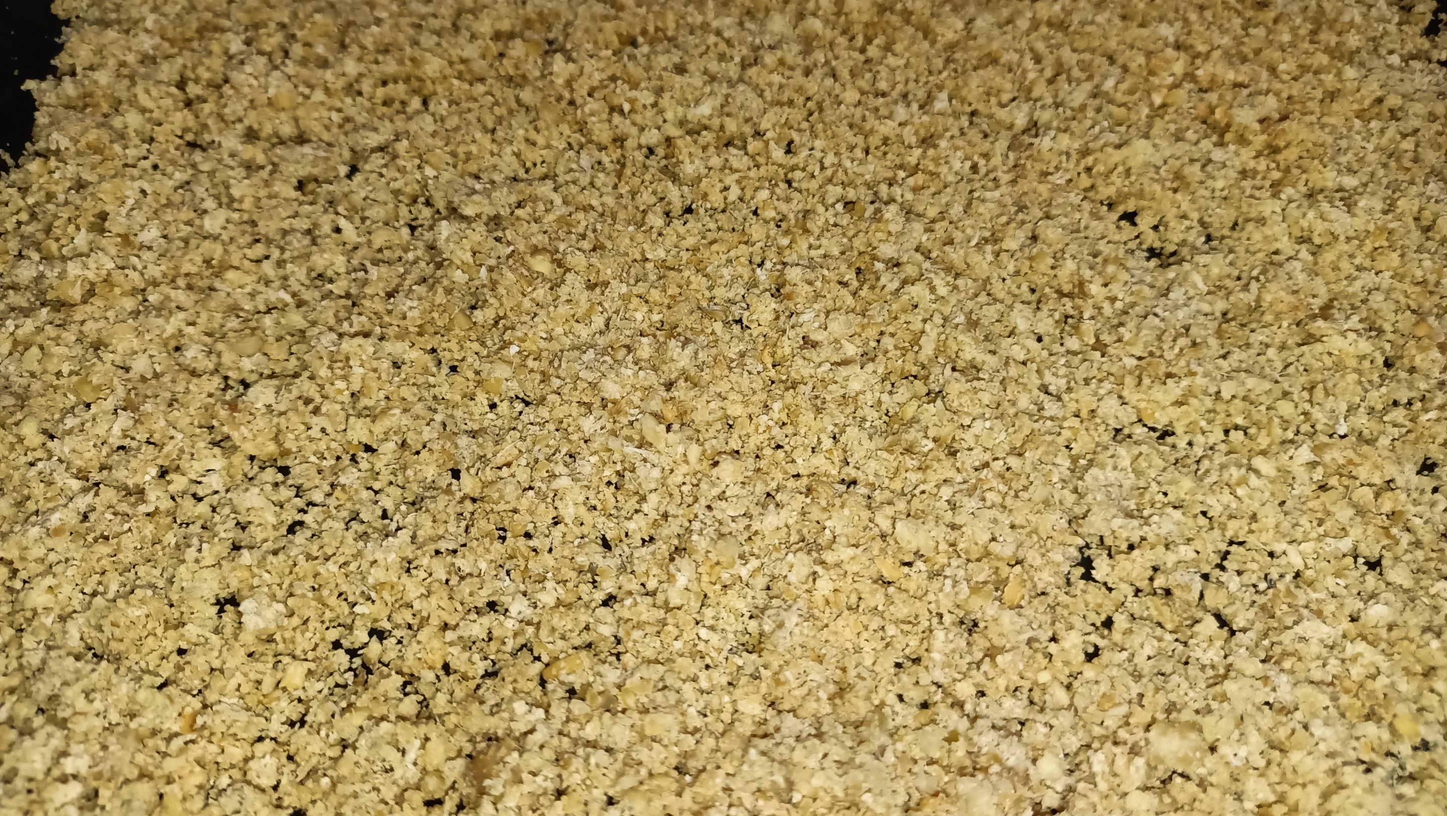 IMG20240211124758.jpg