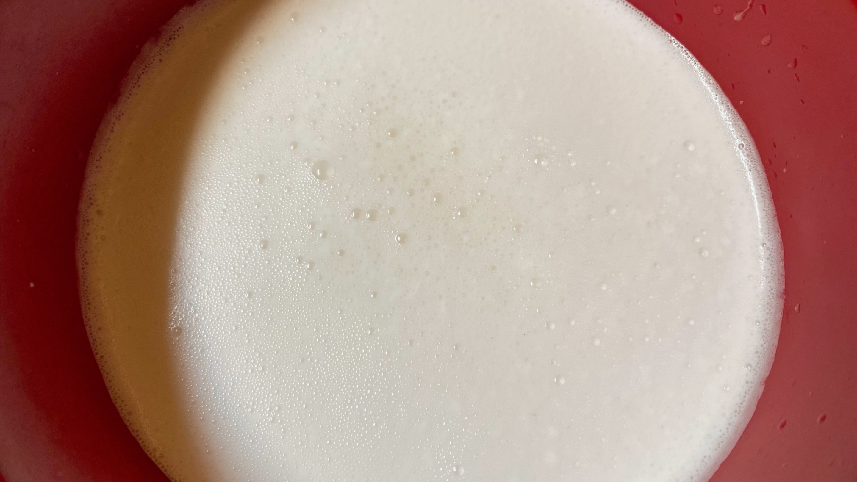 861019FC-B175-4D3F-ADED-CFA006E3D093.jpeg