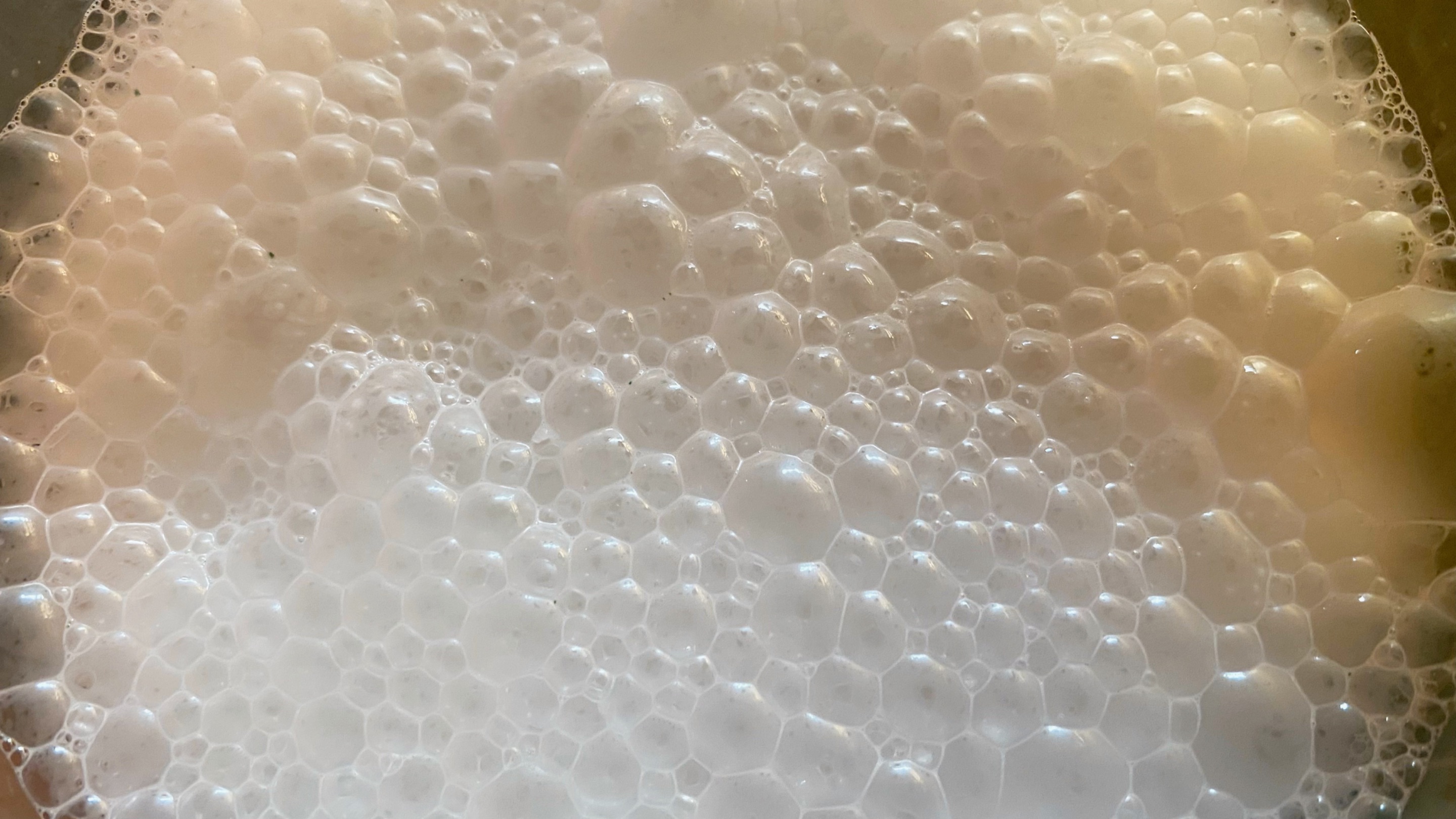 0767140E-AB65-4D7B-9E0D-4E6EC4A31536.jpeg