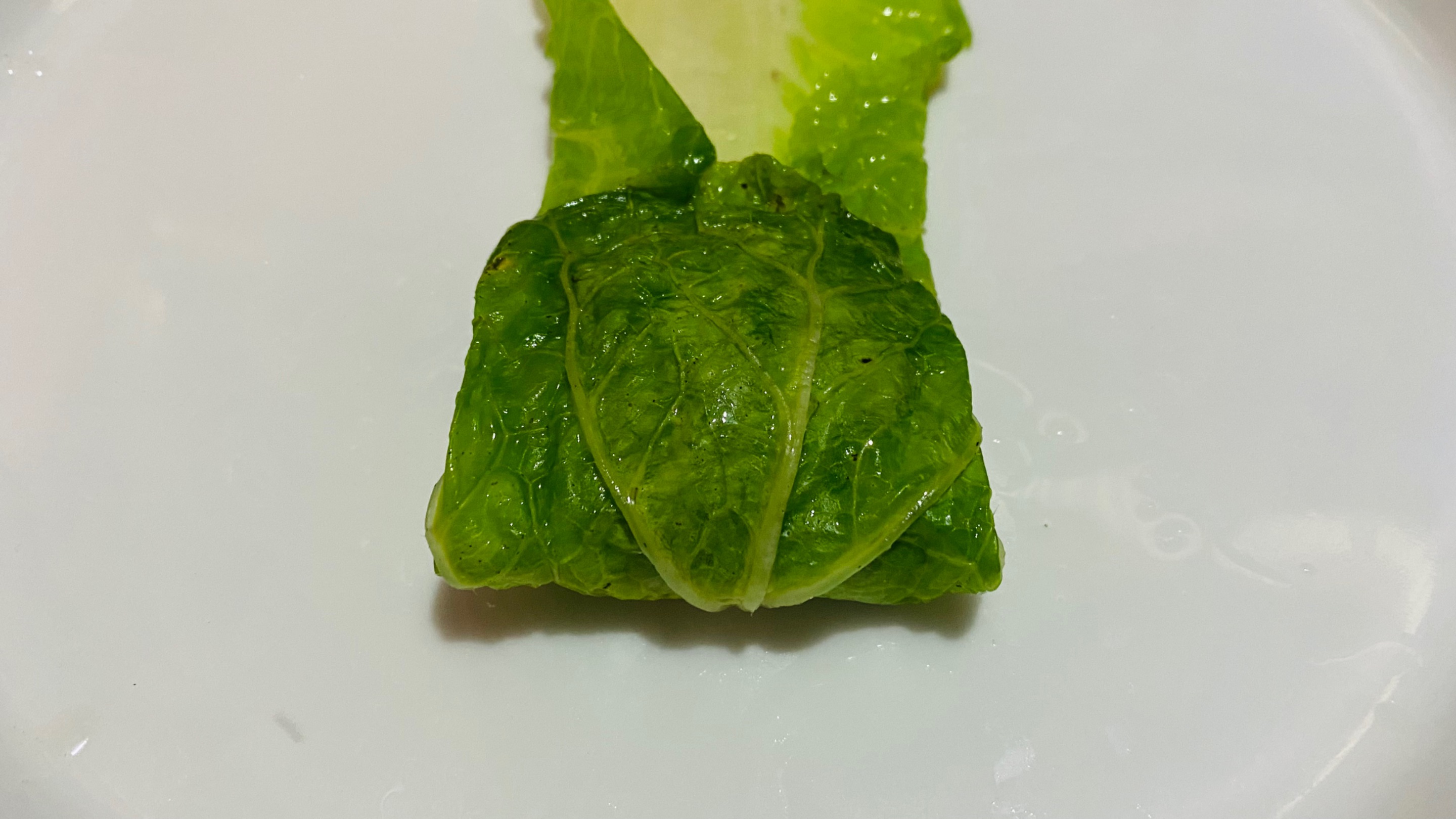 221007F1-29D1-45E9-BBDA-FF2A27C6D2C0.jpeg