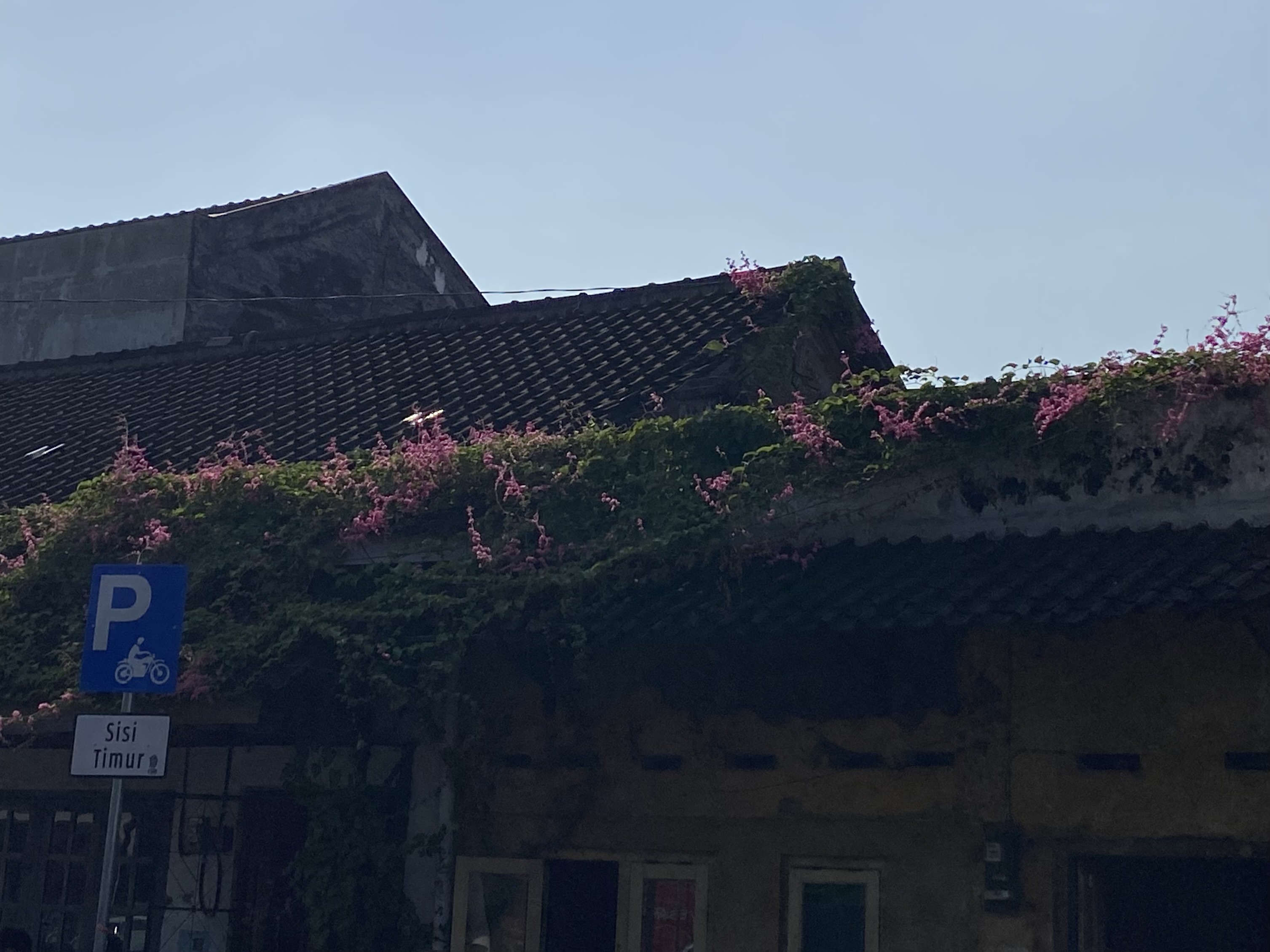 IMG_7717.jpeg