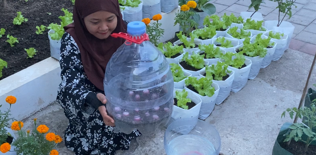 menutup media tanam.png