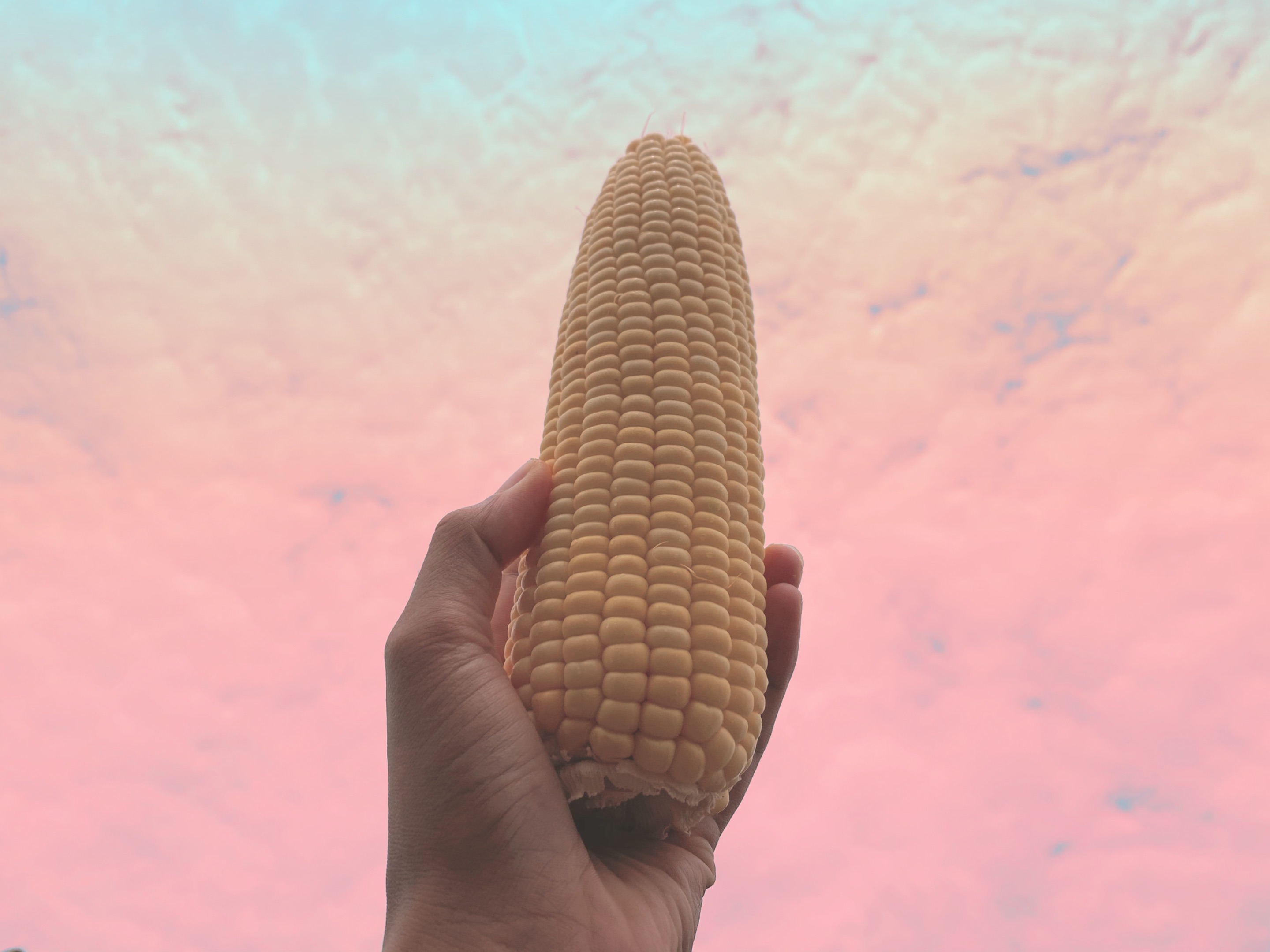 1426ADBC-B057-4466-A6D5-AB72FB4E13C7.jpeg
