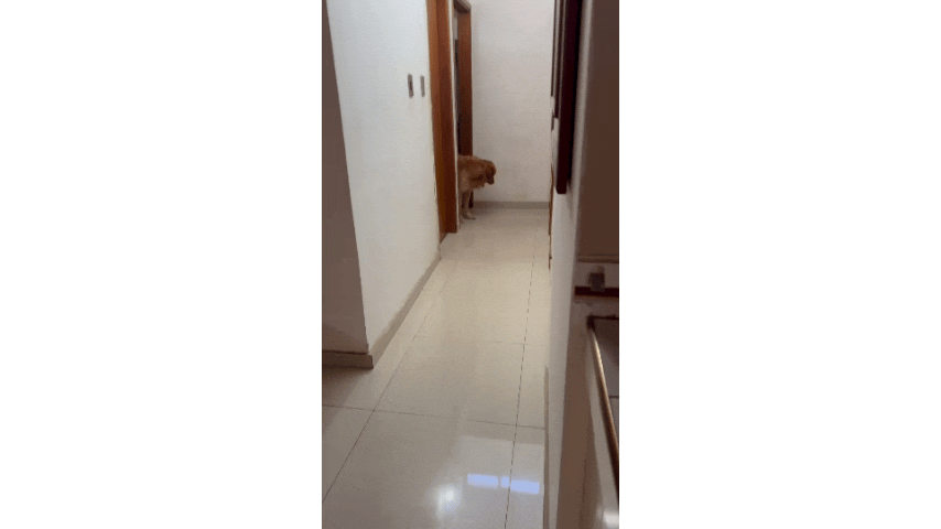 InShot_20250817_214554897.gif