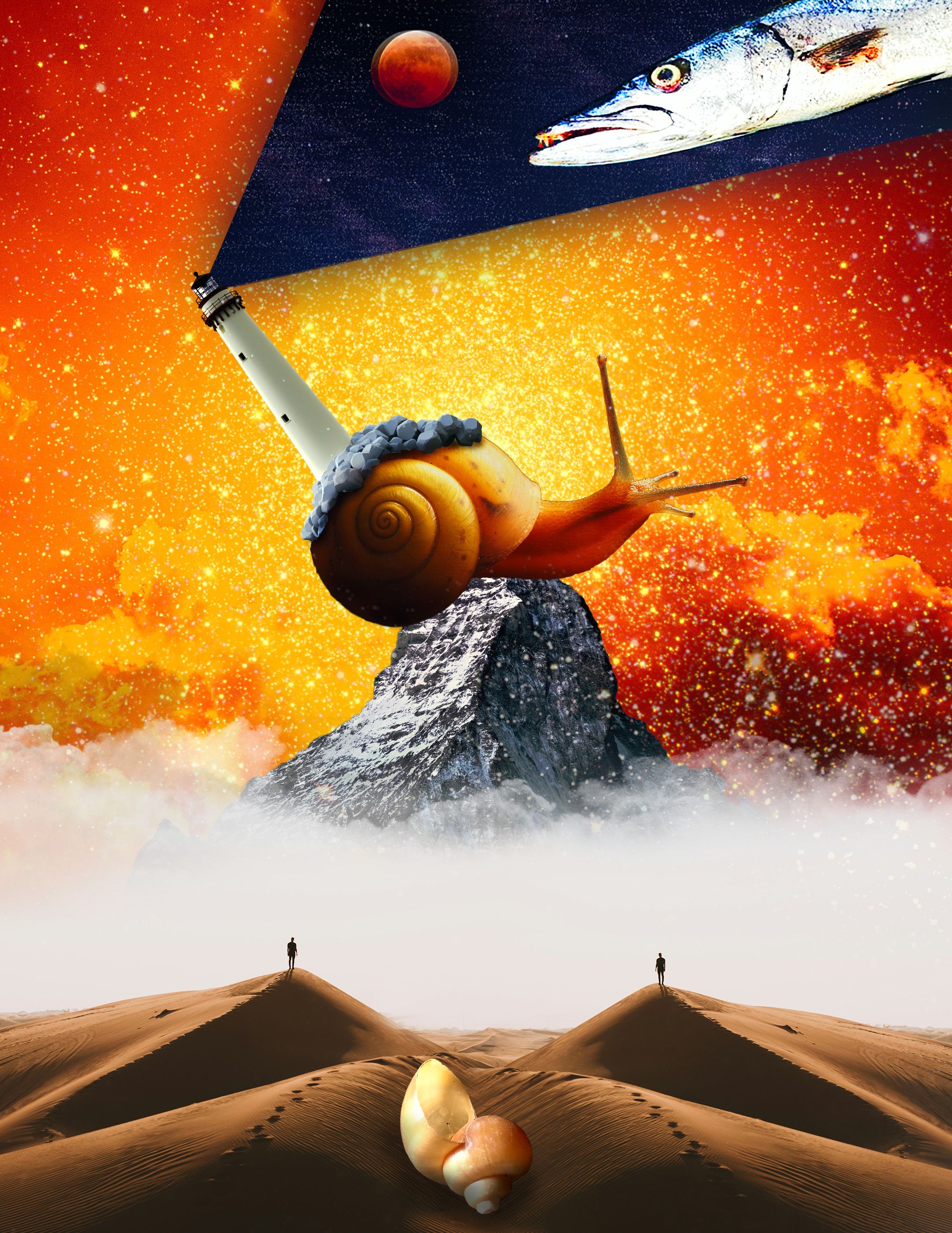 snail.jpg