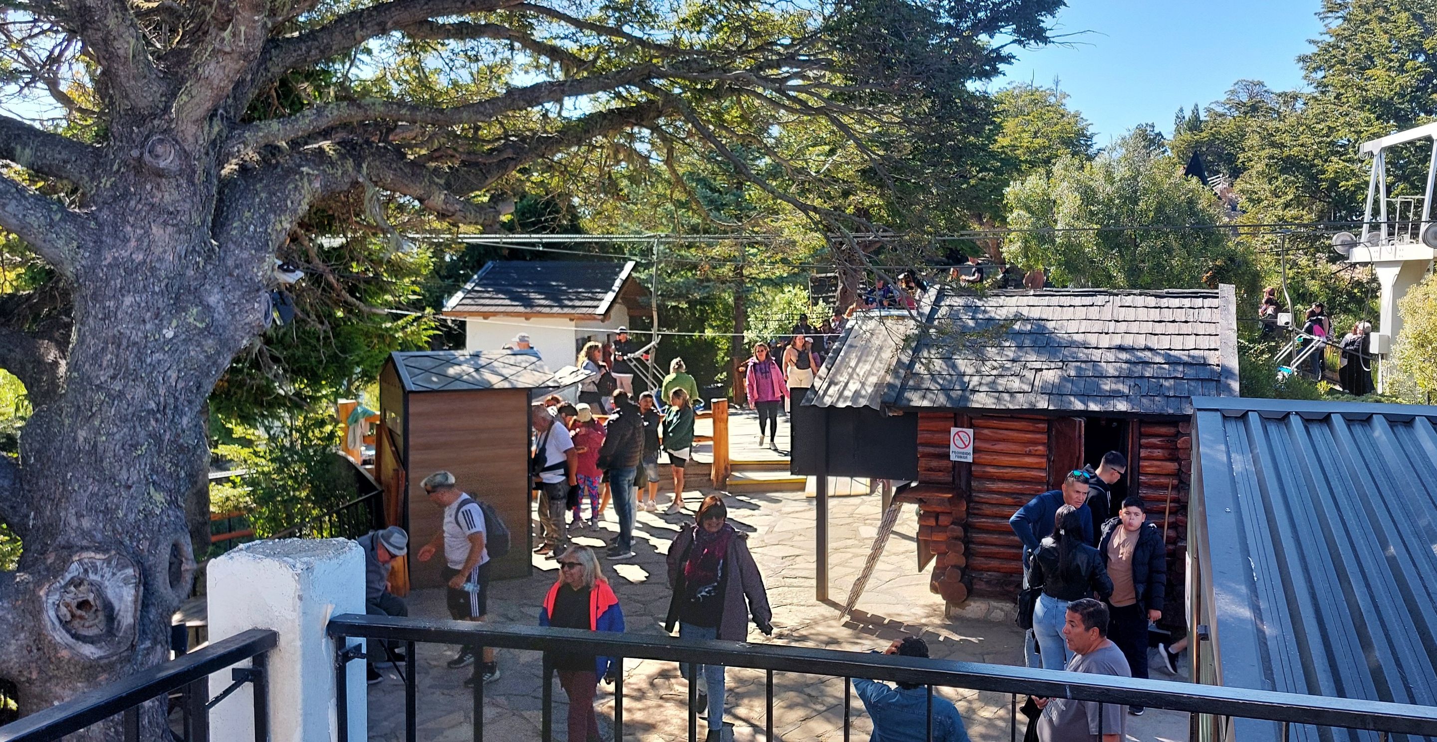 20250212_105417.jpg