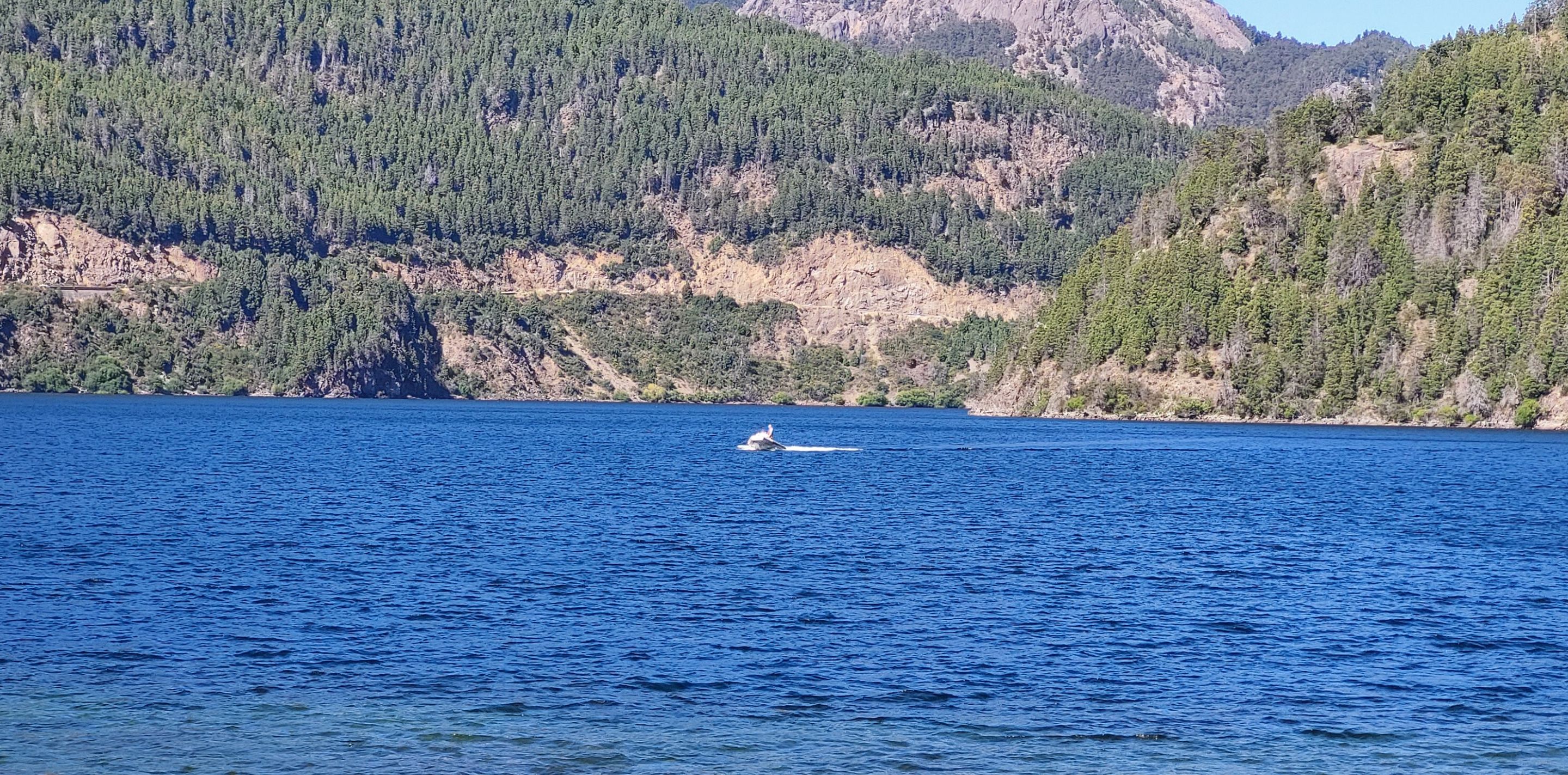 20250211_105350.jpg/