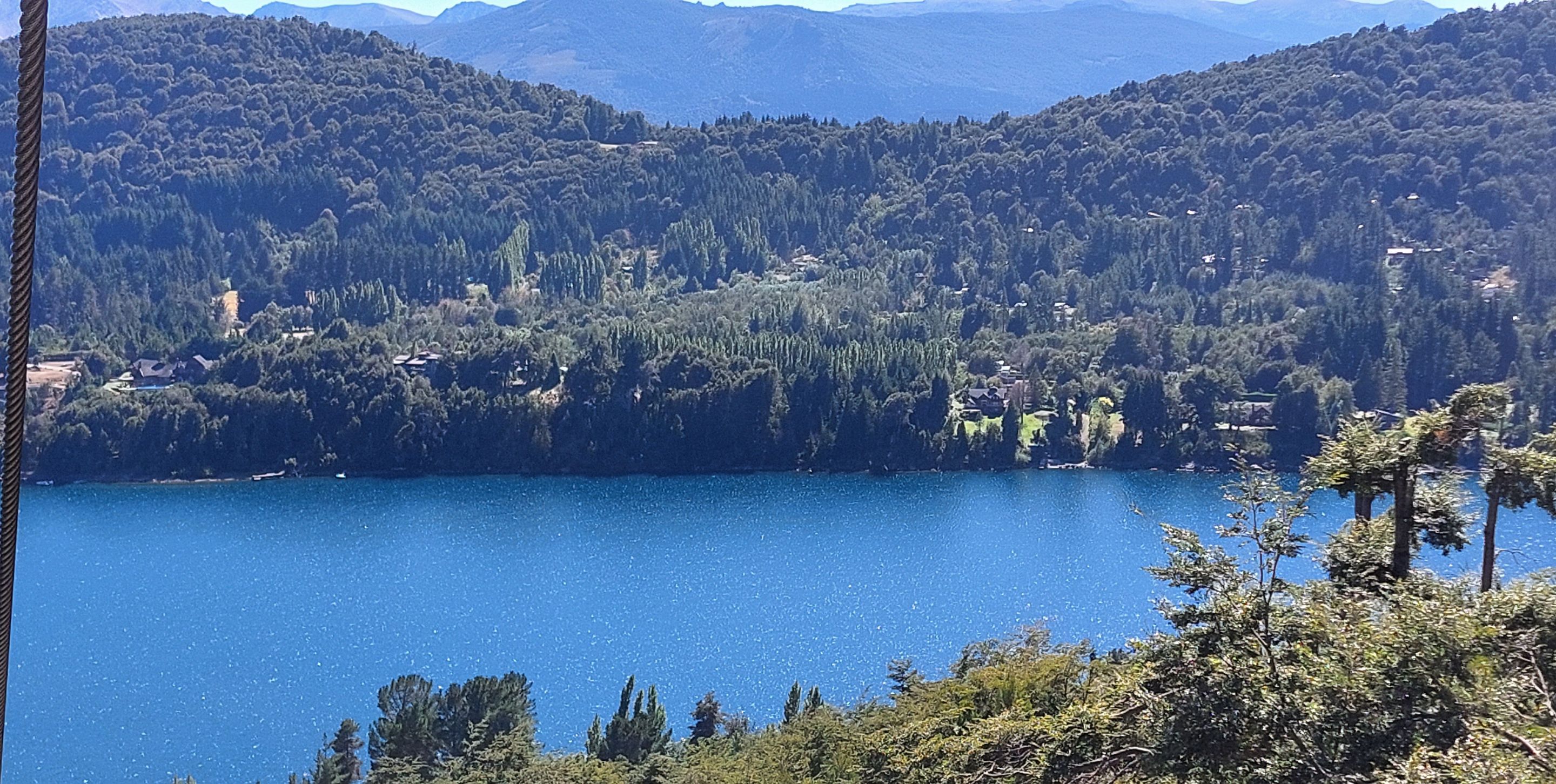 20250212_114026.jpg