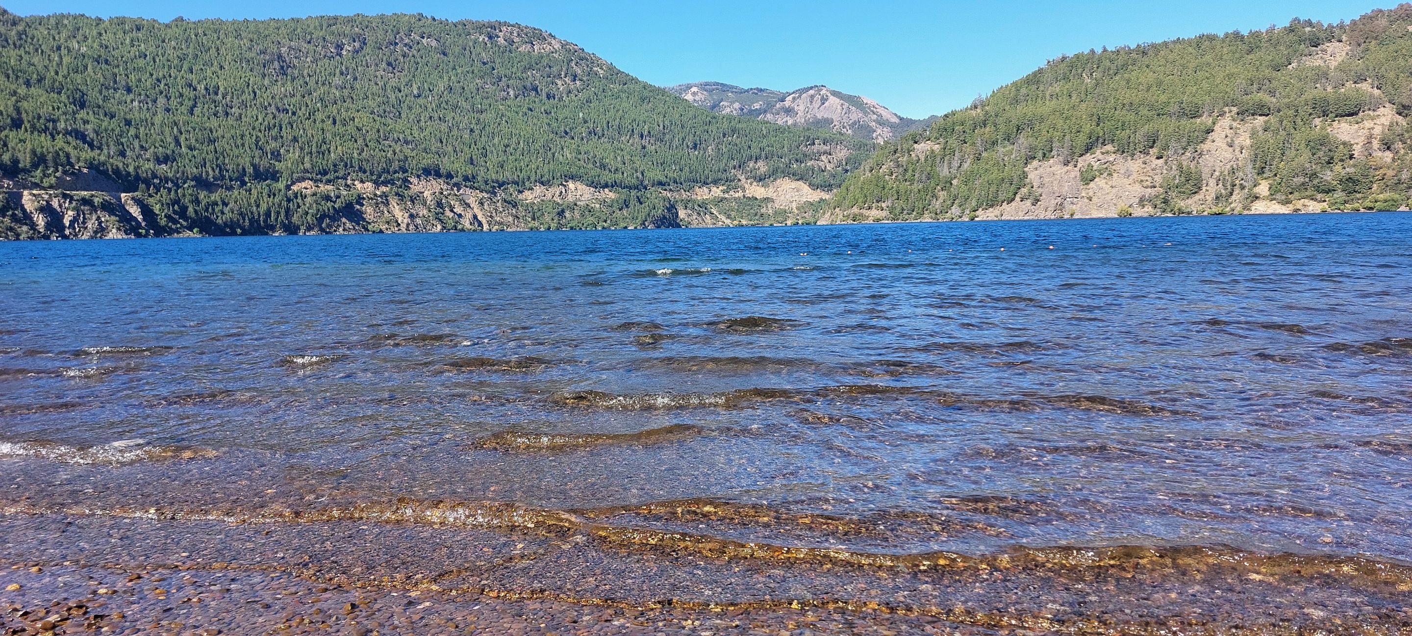 20250211_105646.jpg