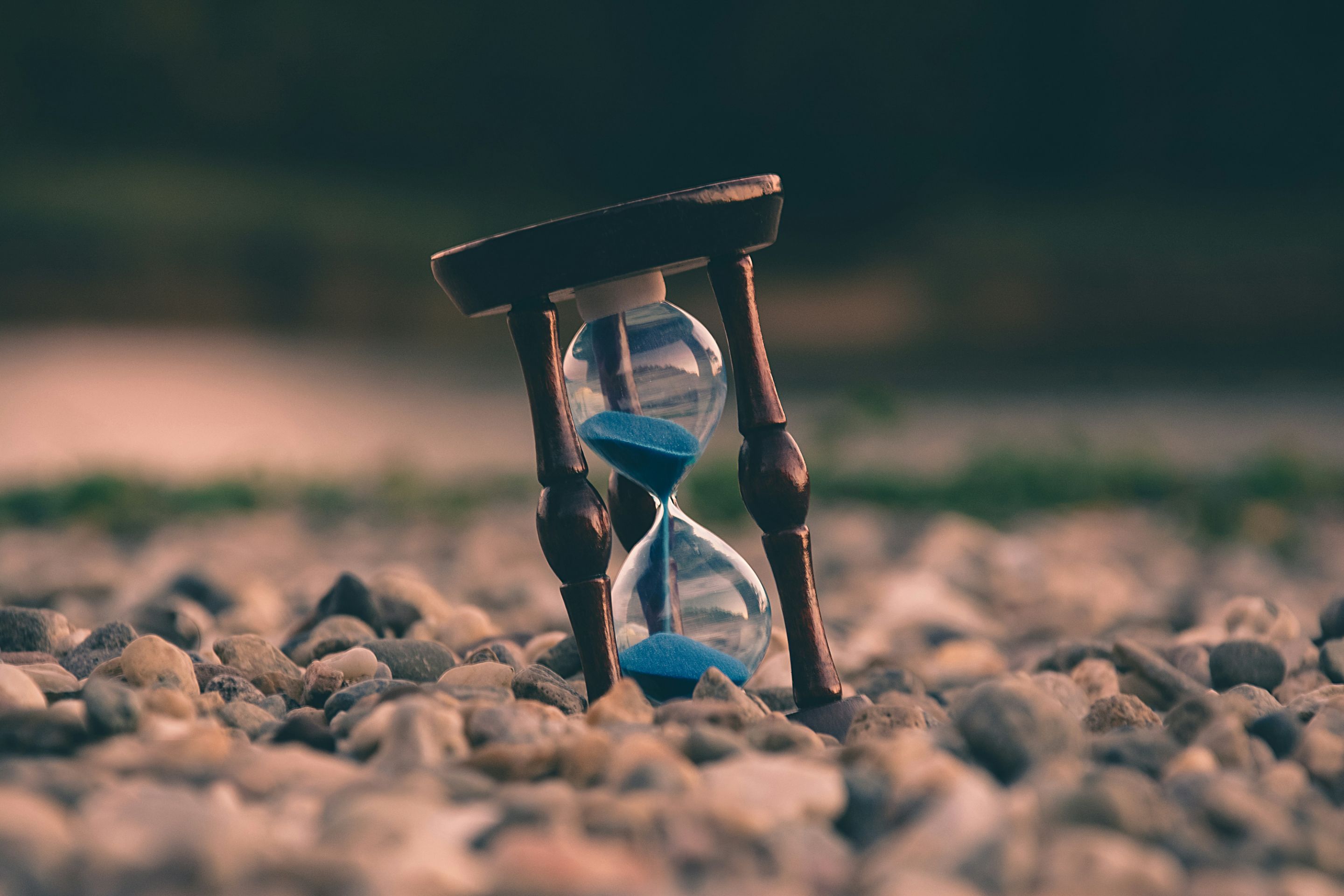 aron-visuals-BXOXnQ26B7o-unsplash (1).jpg