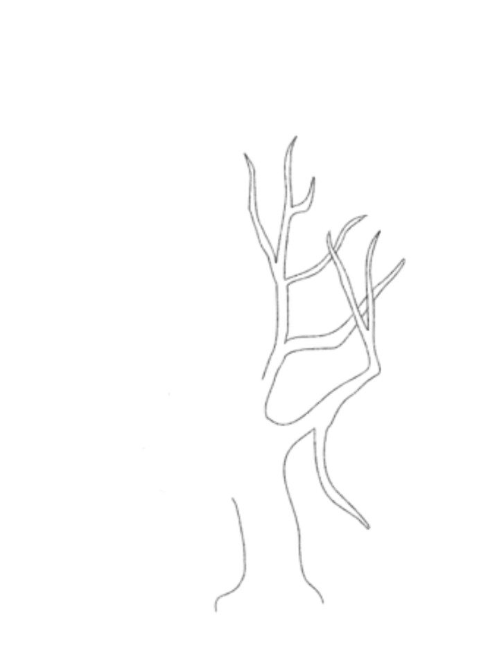 z3.jpg