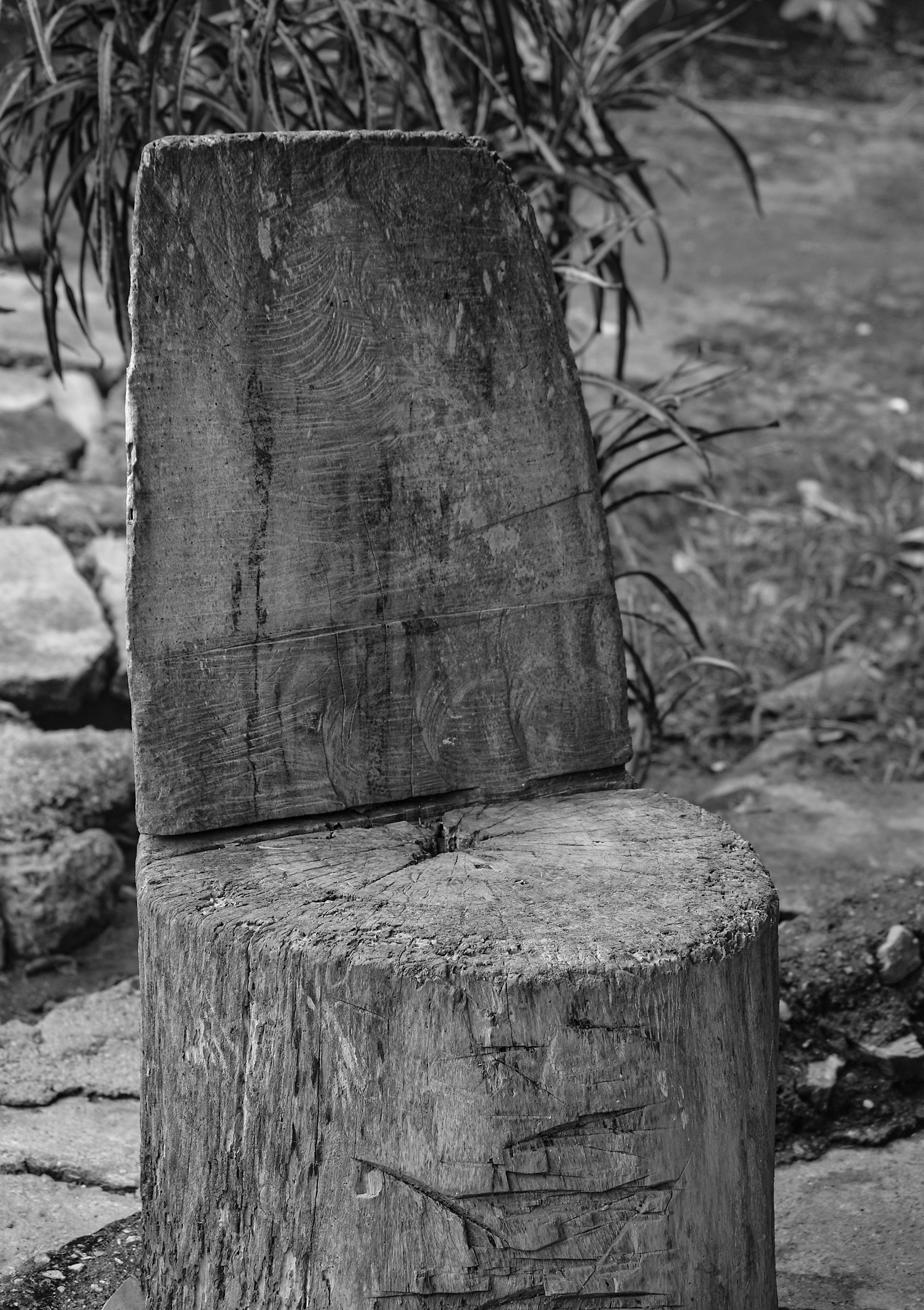 viaje 07.jpg