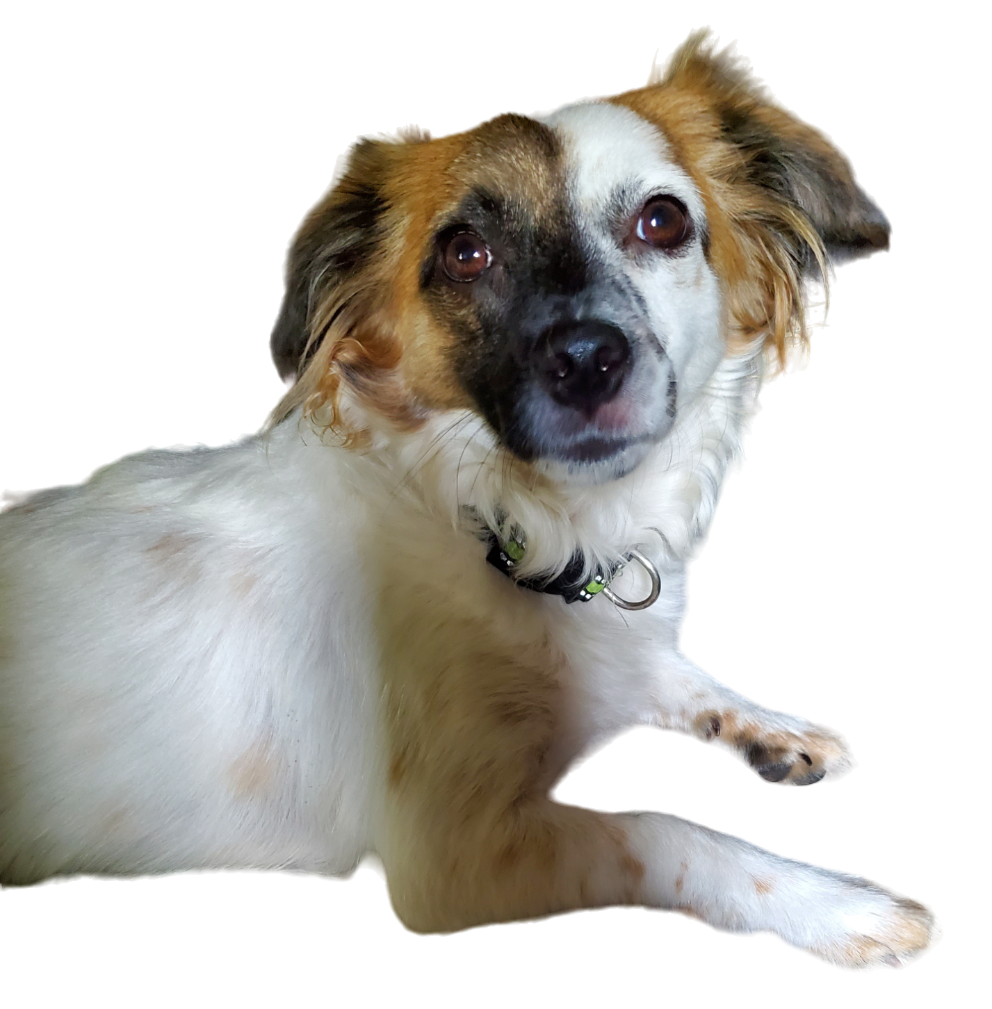 Photoroom-20240219_190606a.png