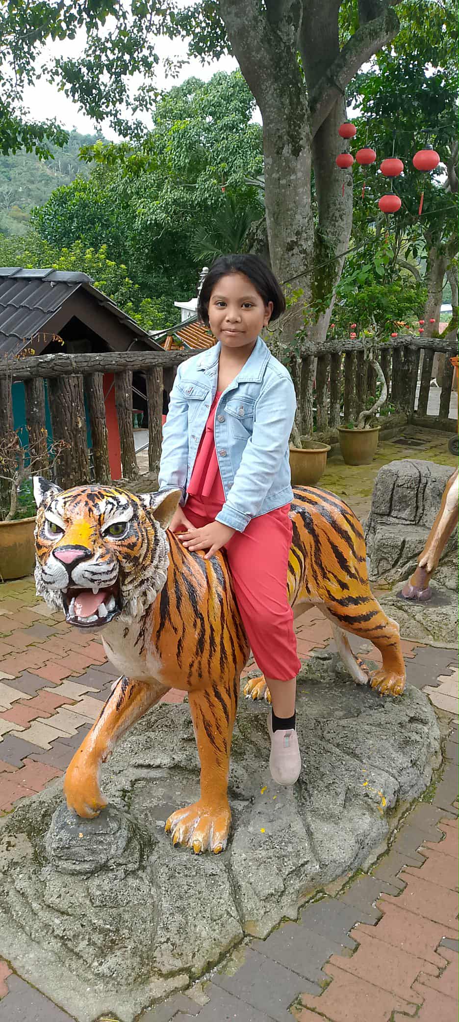 e83602af-c692-4db3-a45a-7acc55a7f7df.jpg