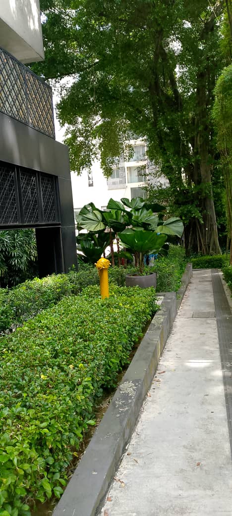 WhatsApp Image 2025-10-02 at 4.40.13 PM.jpeg