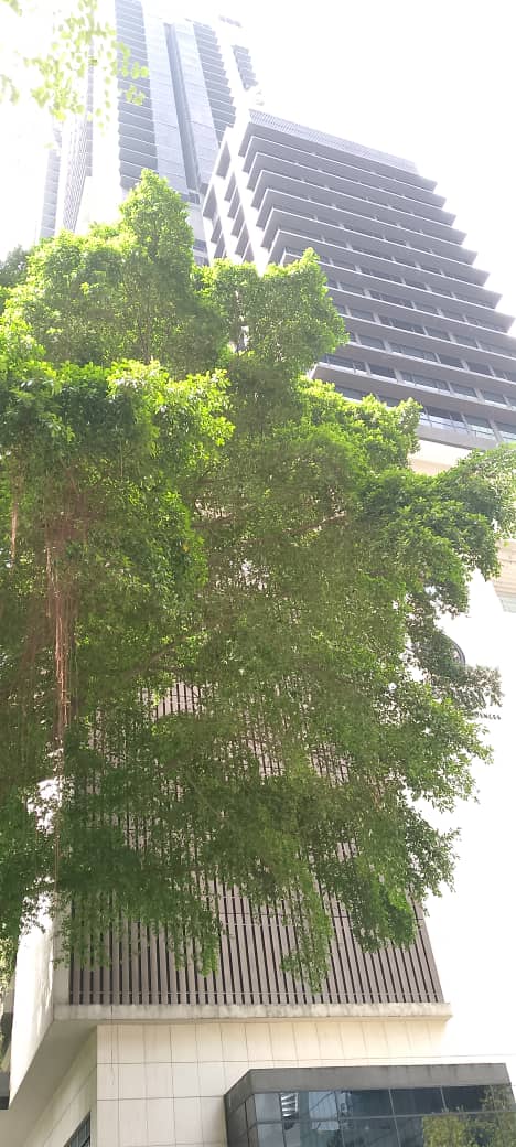 WhatsApp Image 2025-10-02 at 4.40.11 PM (2).jpeg