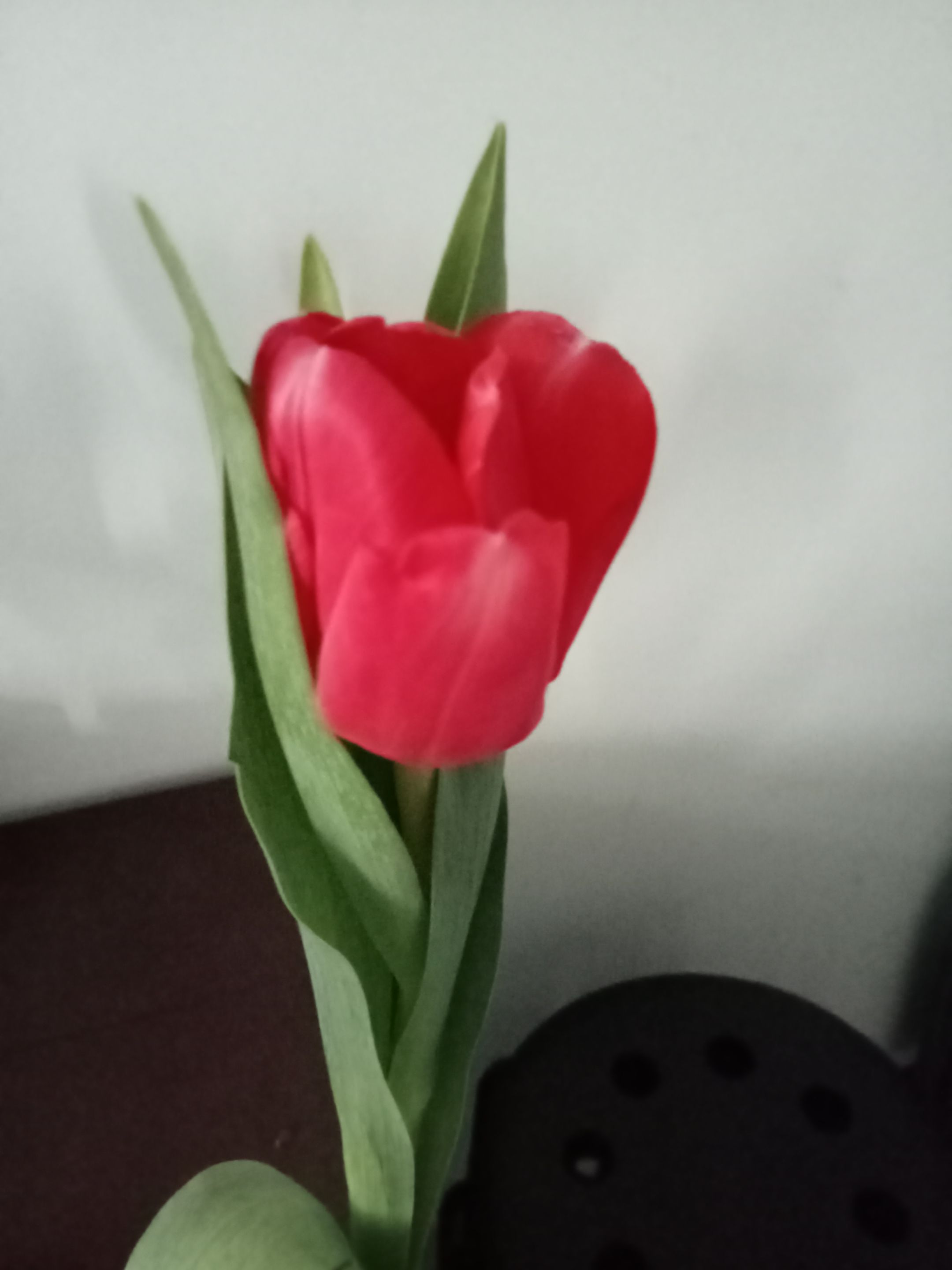 IMG20230215140110.jpg