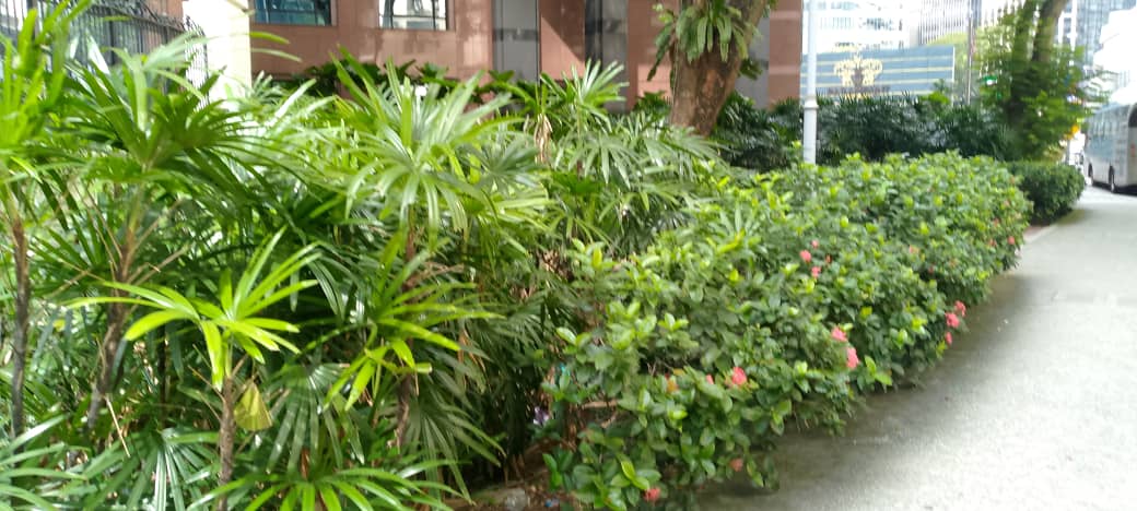 WhatsApp Image 2025-10-02 at 4.40.06 PM (1).jpeg