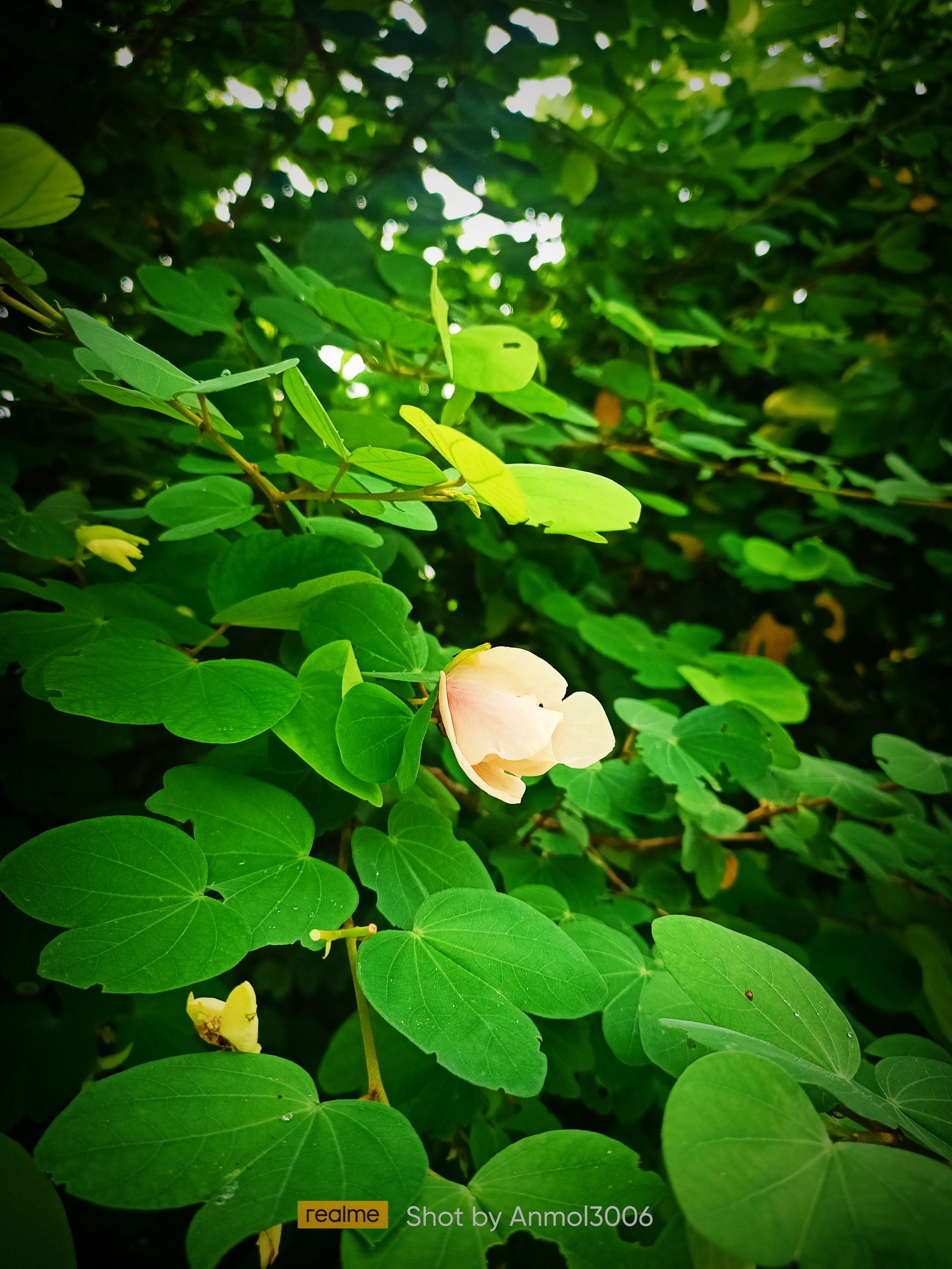 IMG_20210825_013036.jpg