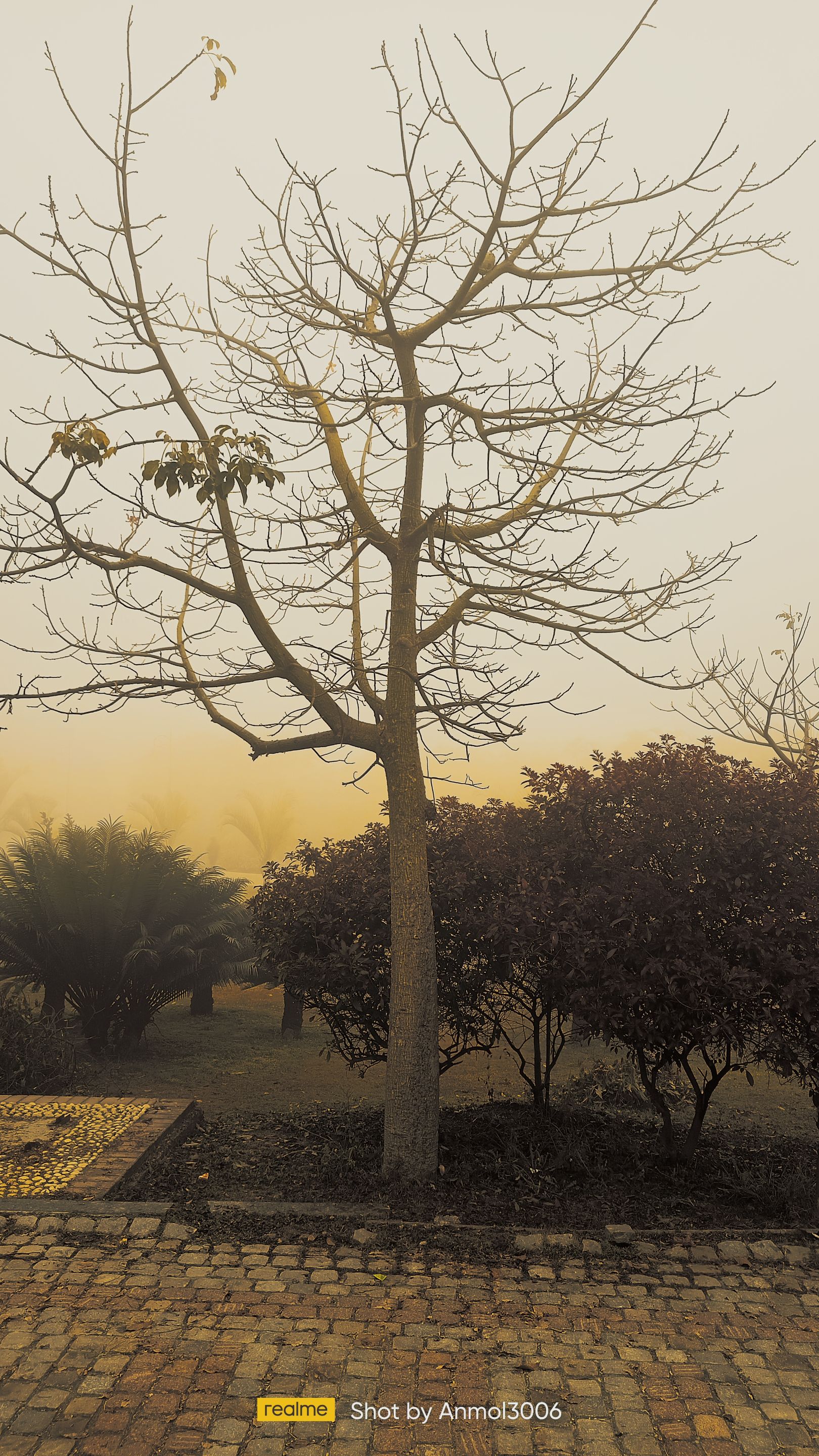 IMG20220105082526.jpg