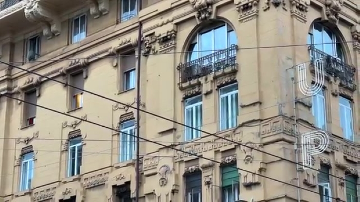 499.jpg