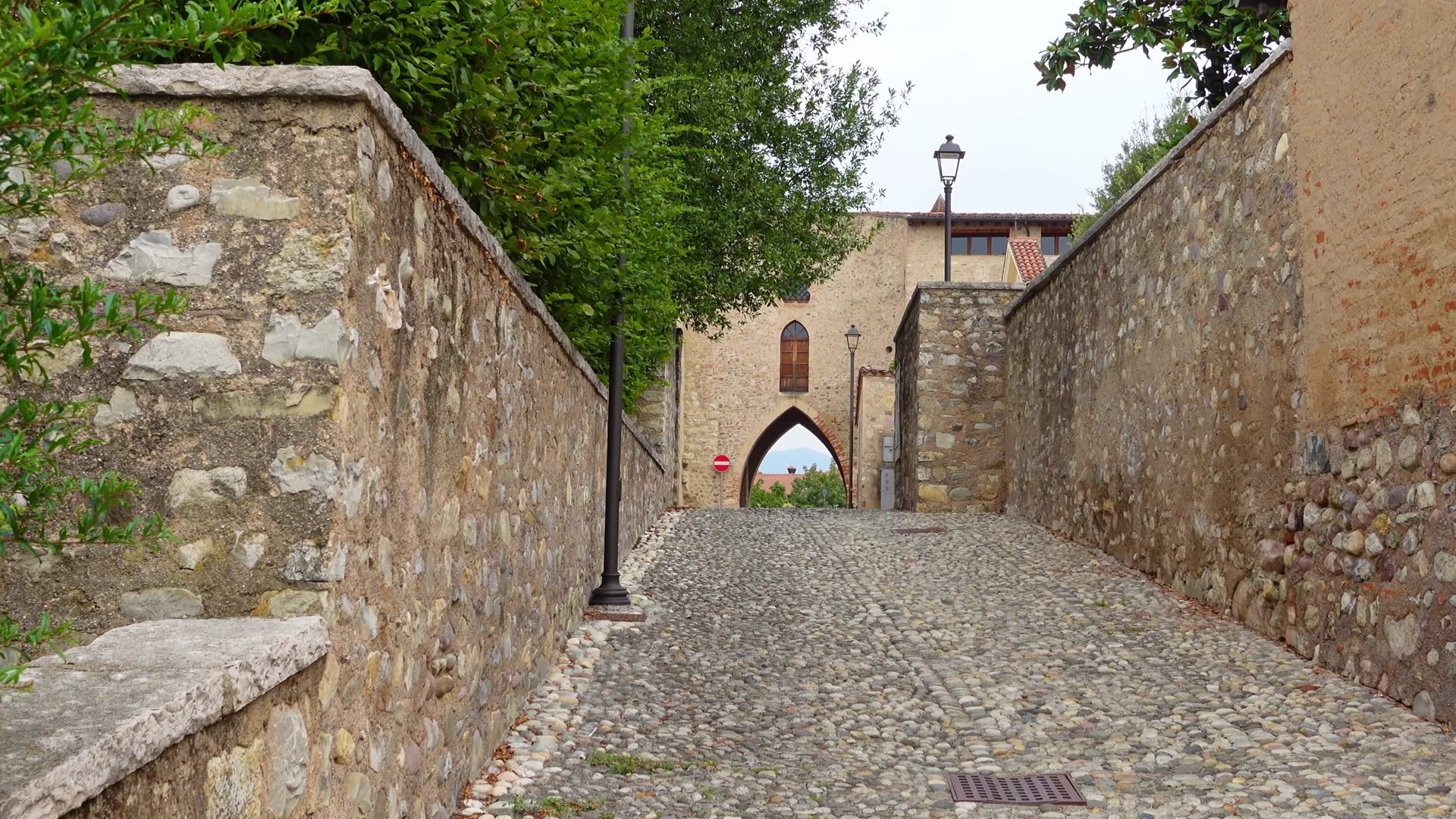 169.jpg