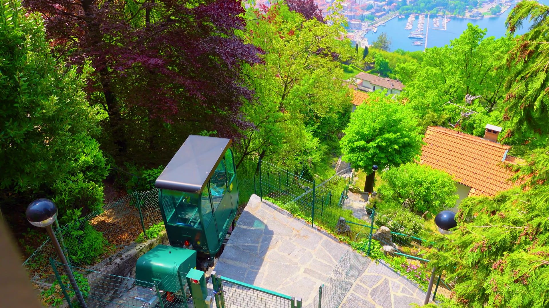 395.jpg