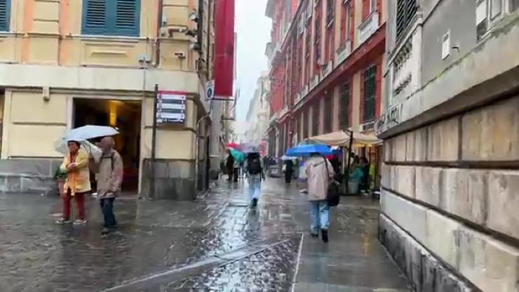 530.jpg
