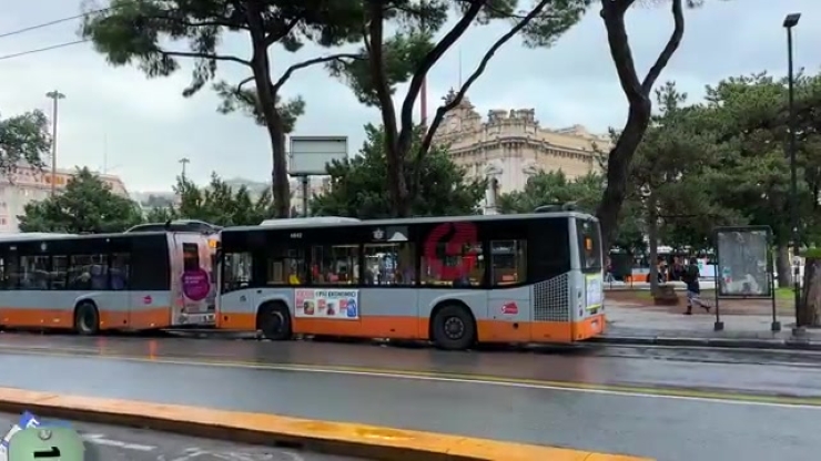 294.jpg