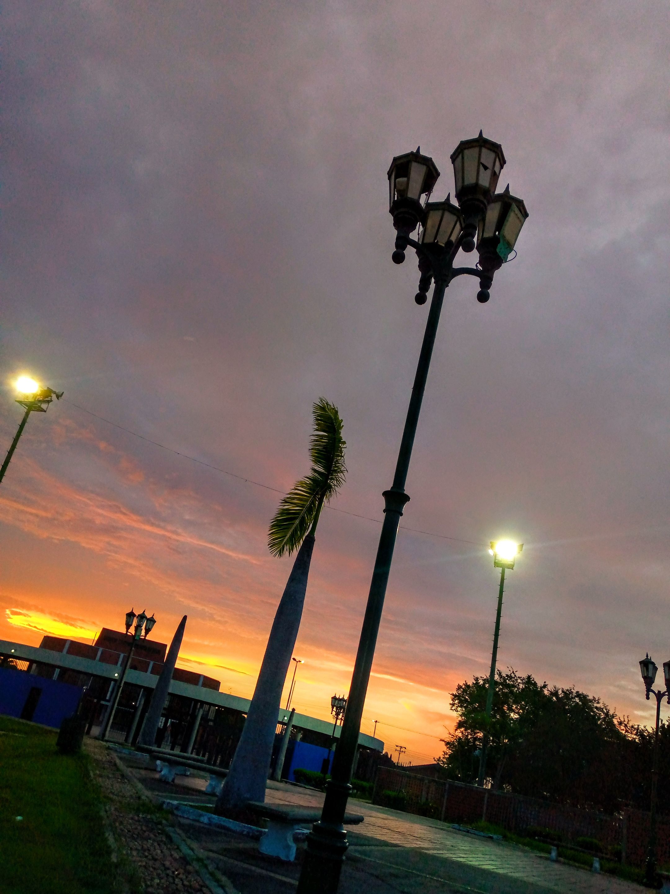 IMG_20250804_184335_120 (1).jpg