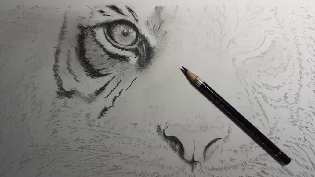 Tiger_WIP01.jpg
