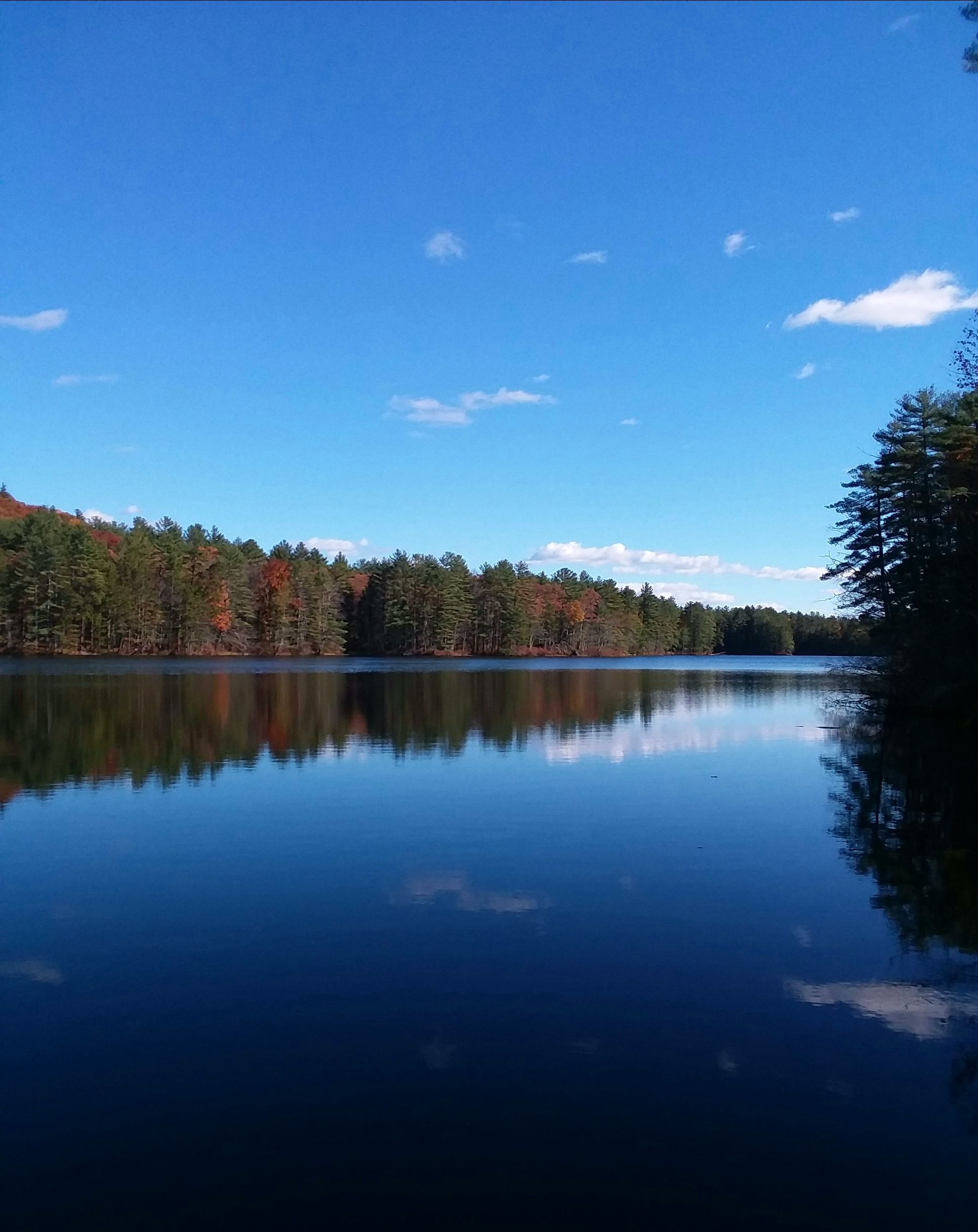 20211108_072731.jpg