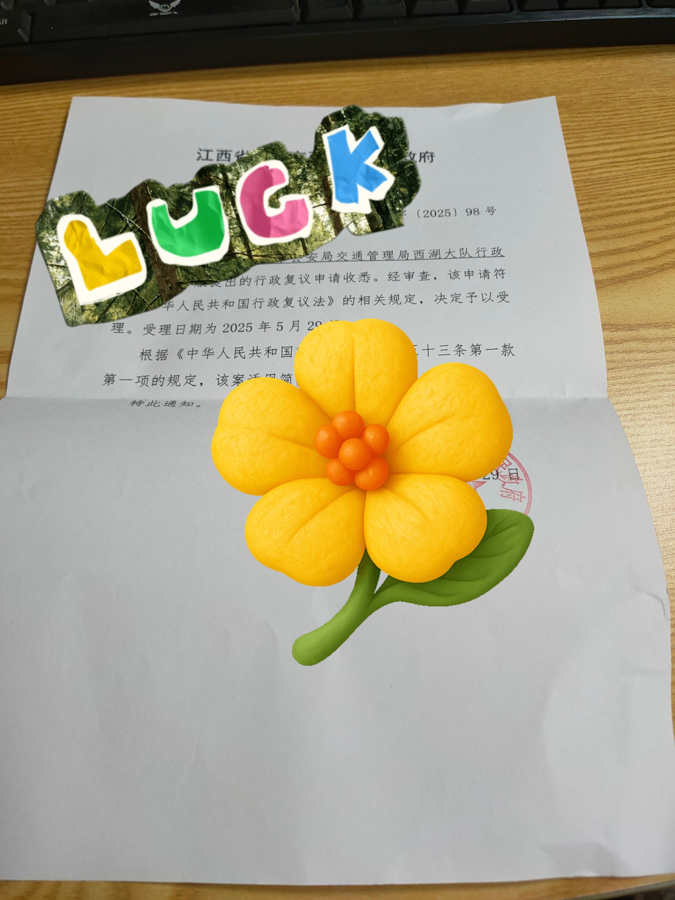 MEITU\_20250629\_181009708.jpg