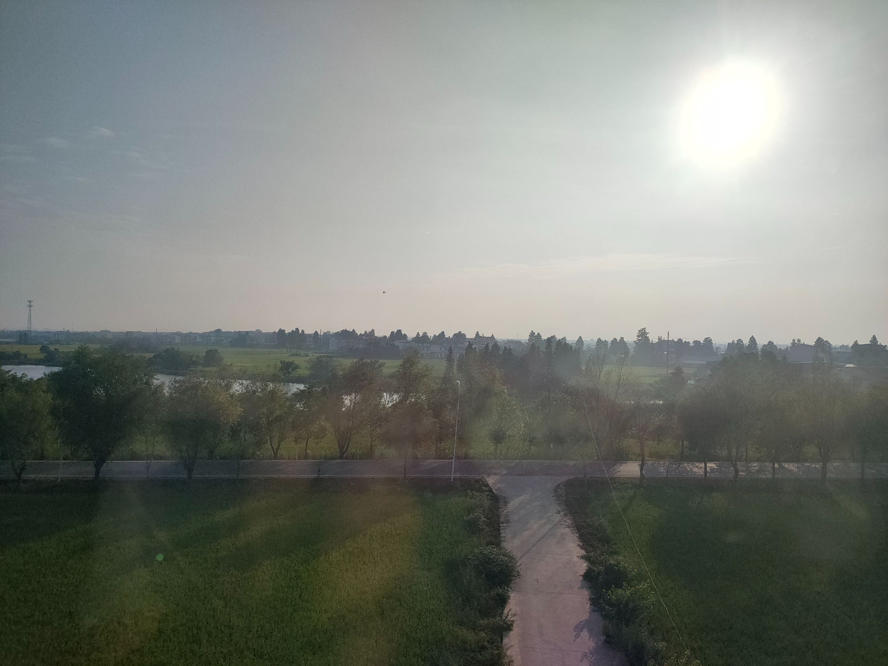 IMG20250922072842.jpg
