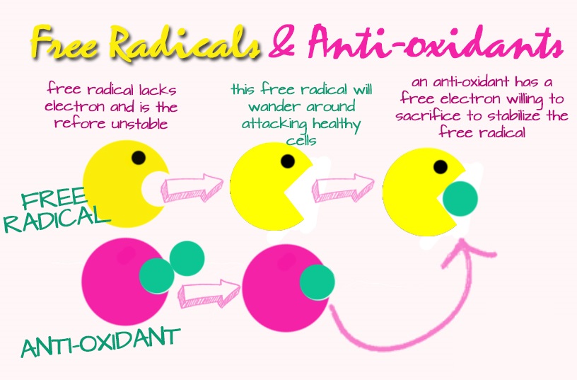 free radicals & antioxidants.jpg
