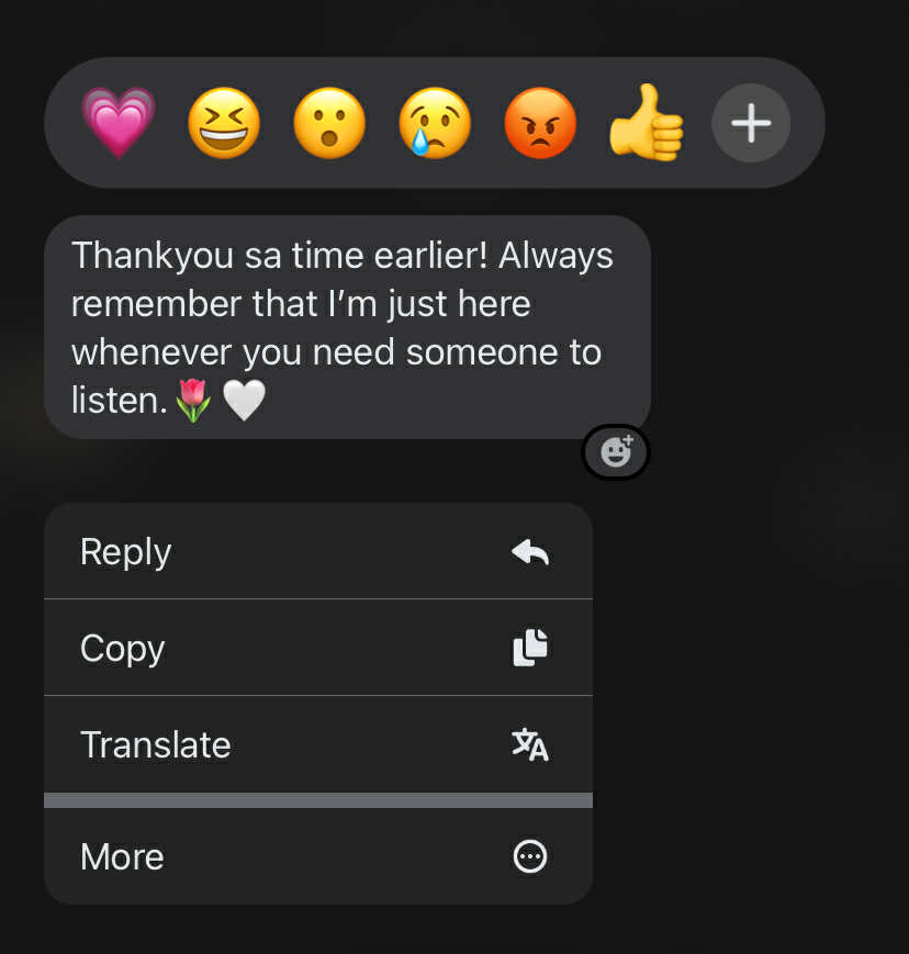 Messenger_creation_A2EF9065-8B43-4710-BEAB-B22C3A268C8B.jpeg