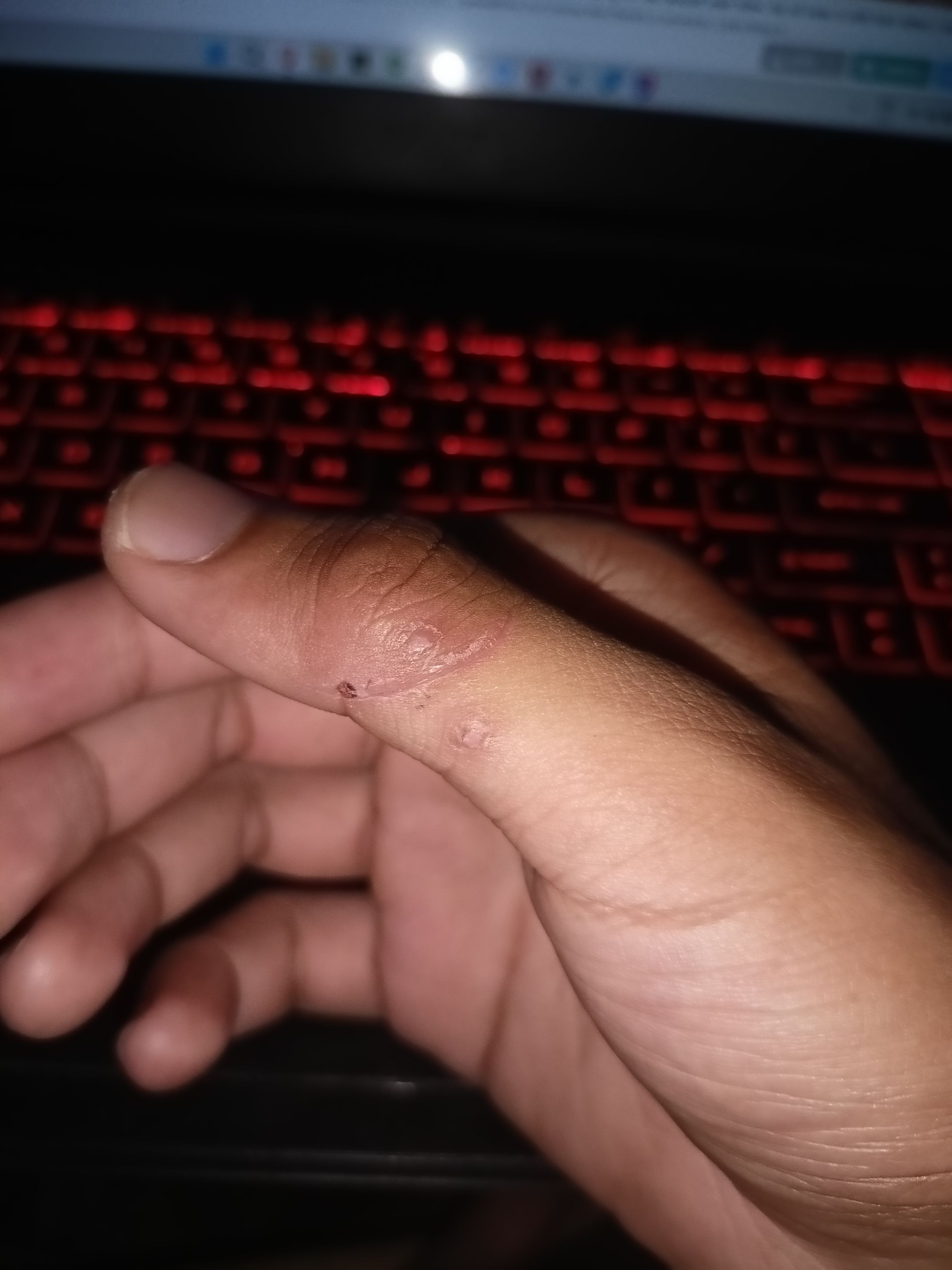 16th day.jpg