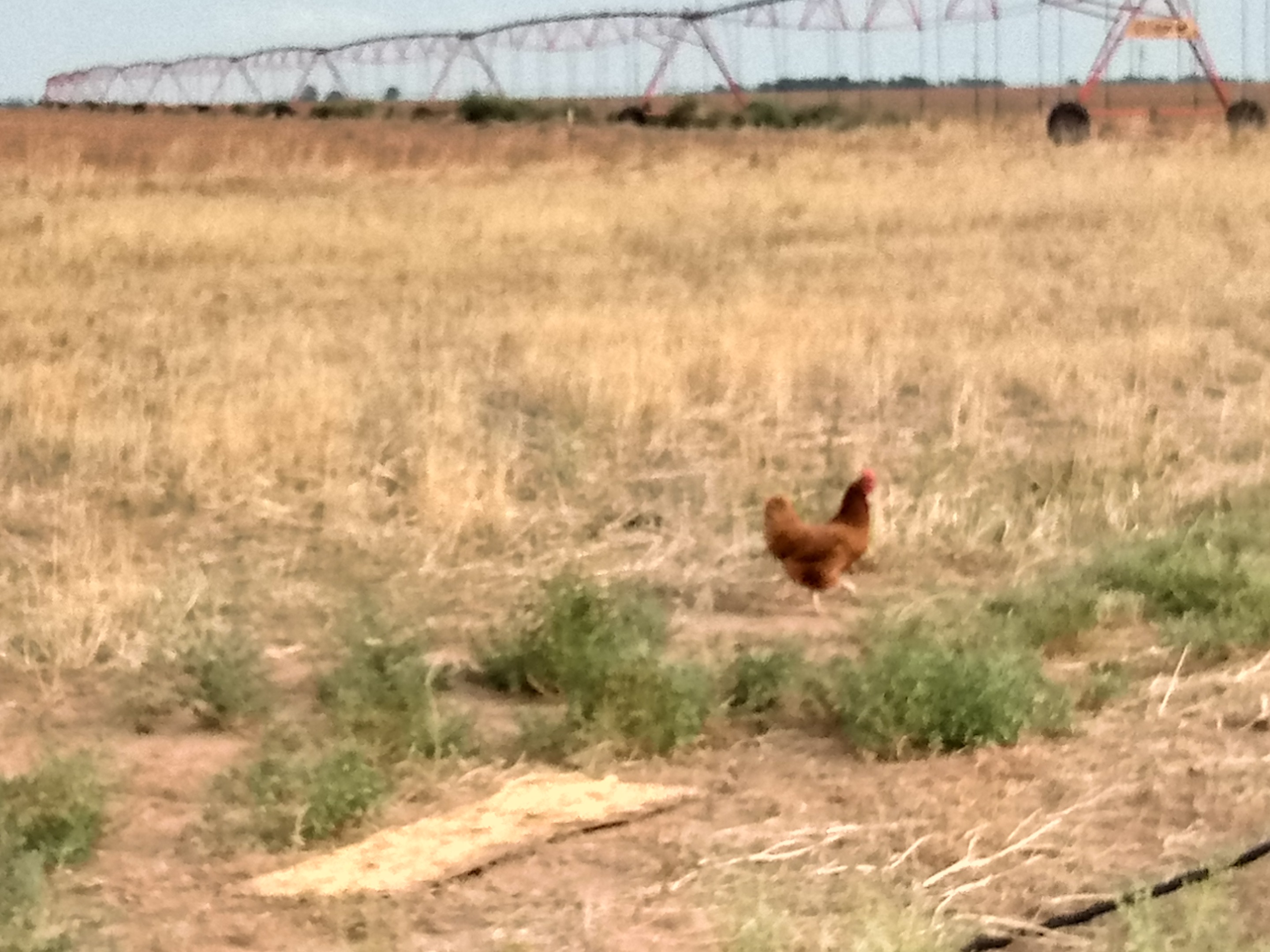 20200913_174825_HDR.jpg