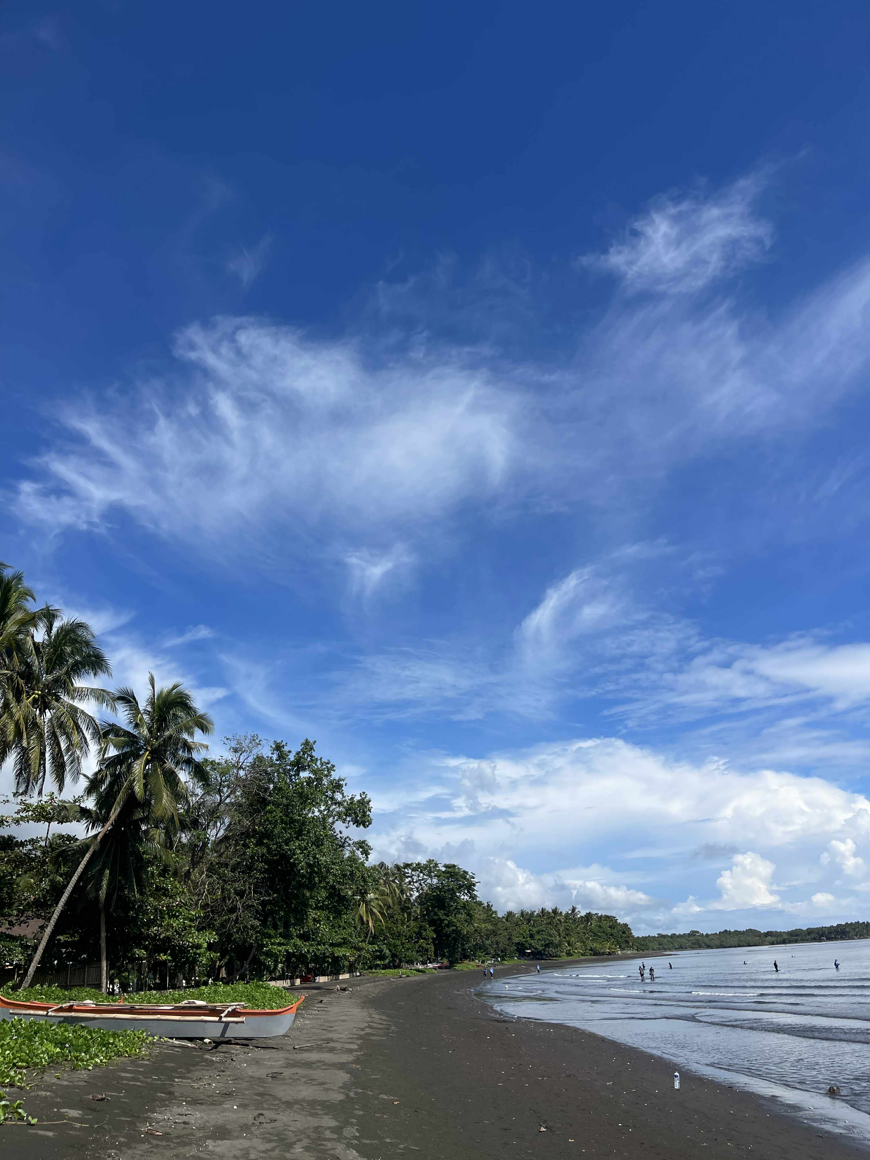 5d6f9695-862b-4a69-87d8-47335a38ed01.jpg